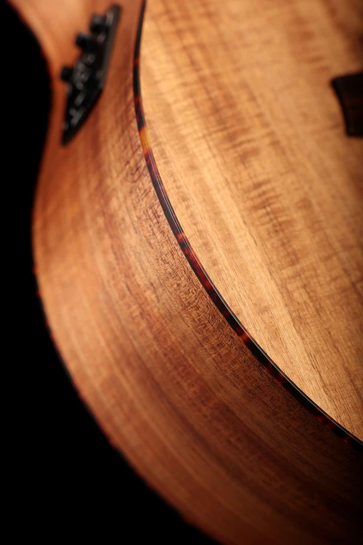 Cole Clark Mastergrade Recording Grand Auditorium 'Blackwood / Blackwood' Acoustic Electric Guitar
