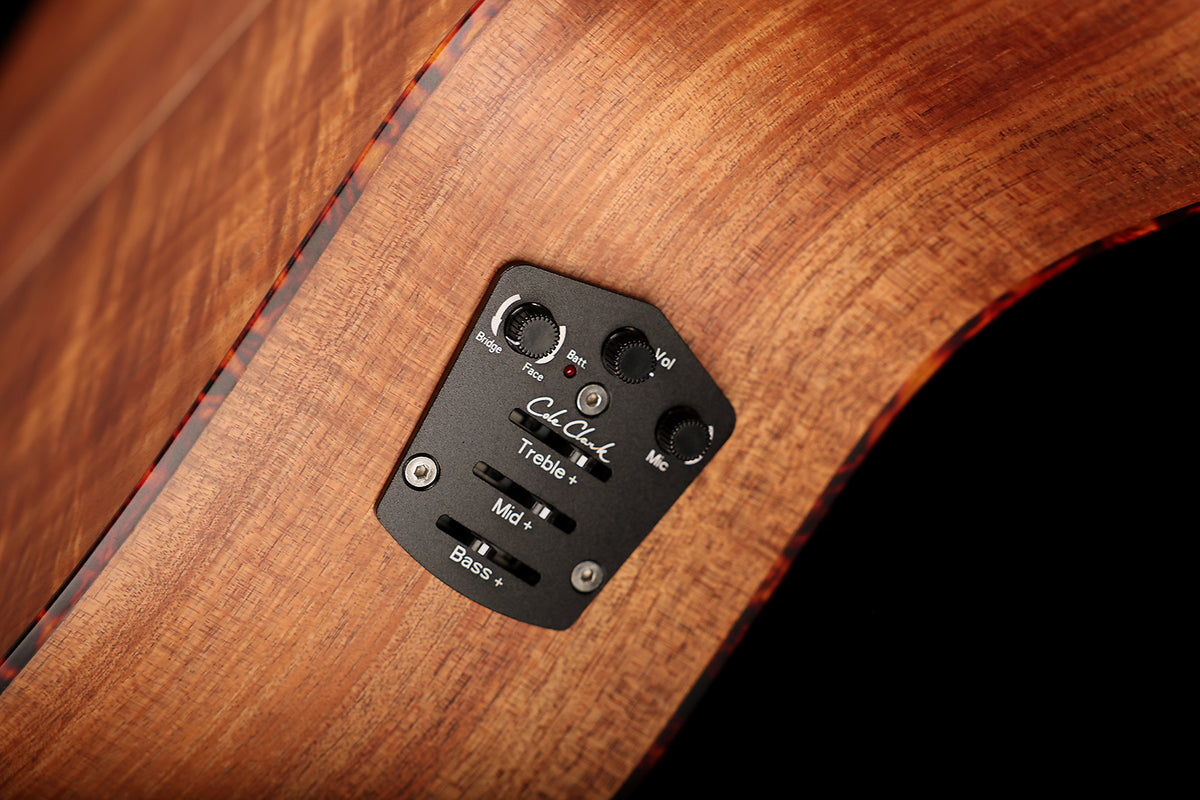 Cole Clark Mastergrade Recording Grand Auditorium 'Blackwood / Blackwood' Acoustic Electric Guitar