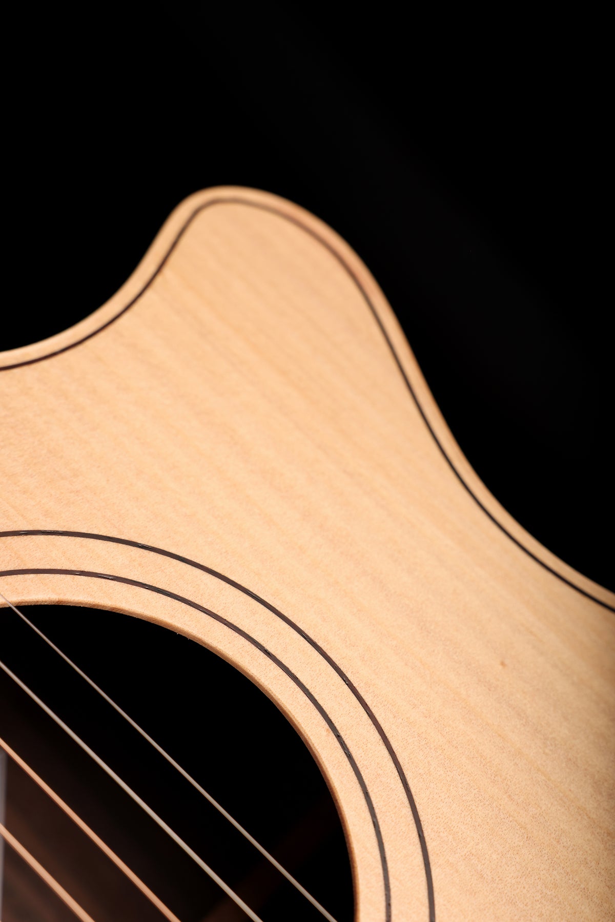 Cole Clark CCAN2EC-BRE Angel 2 Series 'Bunya / Rosewood' Acoustic Electric Guitar