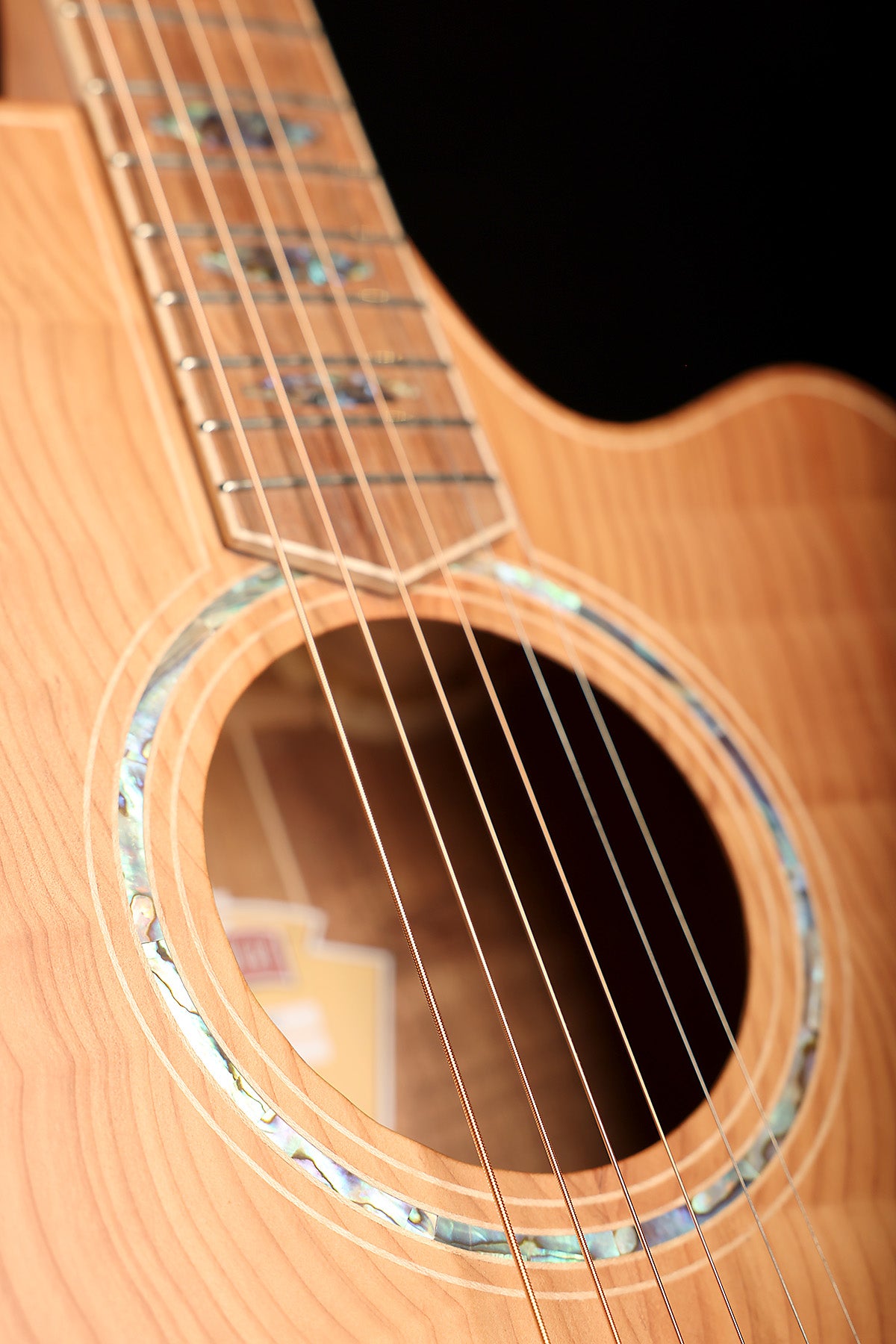 Cole Clark FL3EC-RDBL-AE 'Redwood / Blackwood' Acoustic Electric Guitar