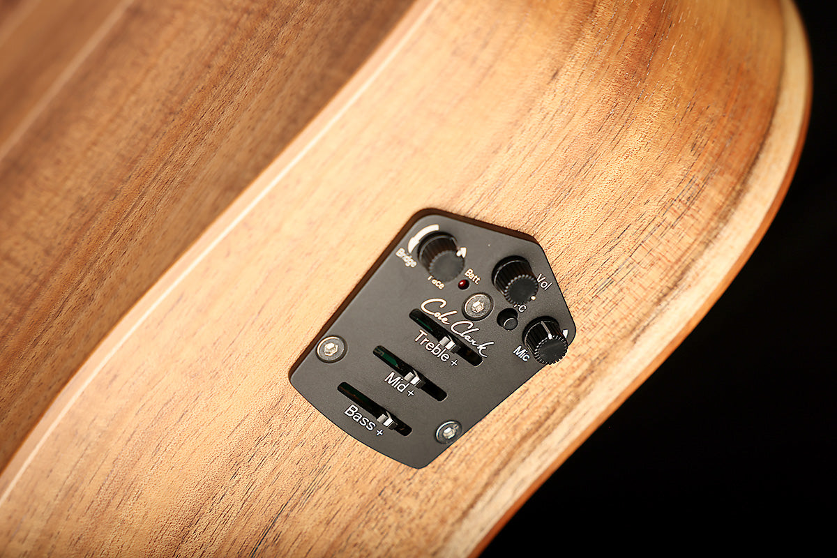 Cole Clark FL3EC-RDBL-AE 'Redwood / Blackwood' Acoustic Electric Guitar