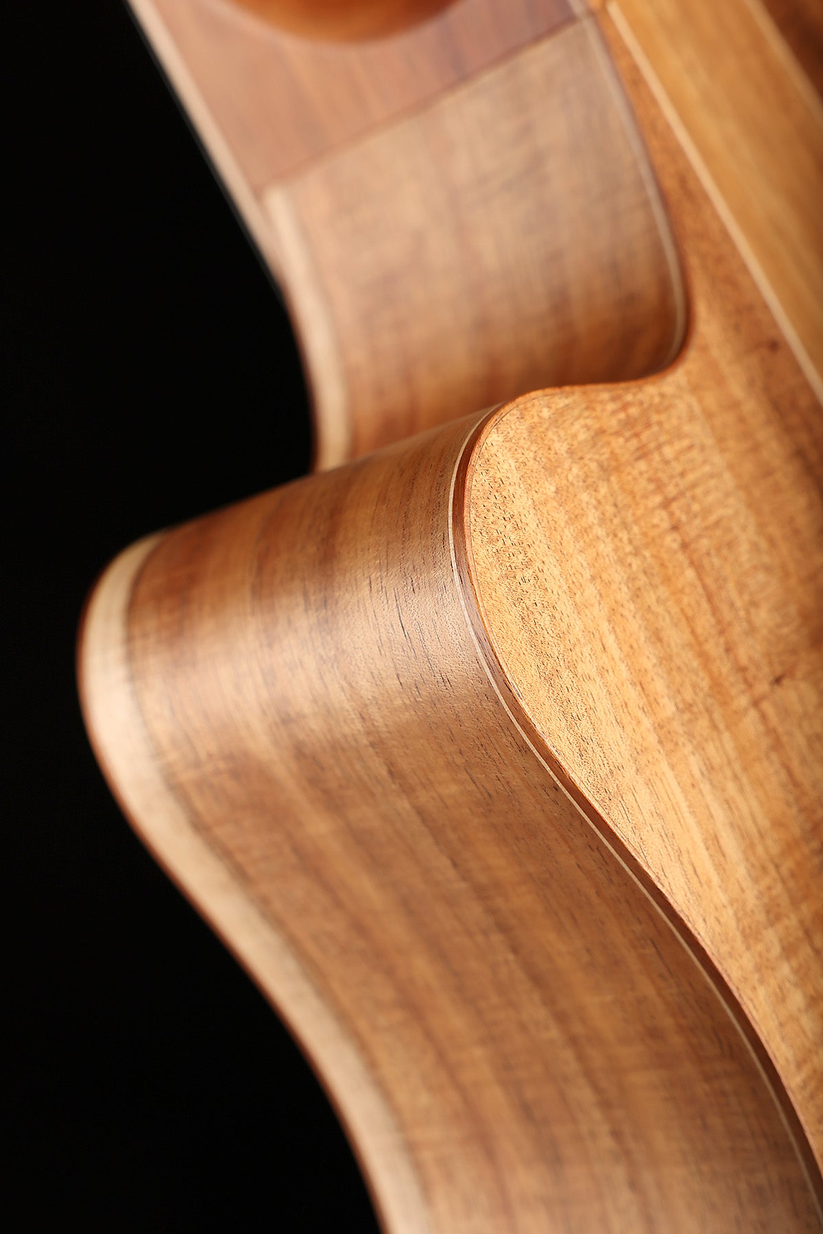 Cole Clark FL3EC-RDBL-AE 'Redwood / Blackwood' Acoustic Electric Guitar