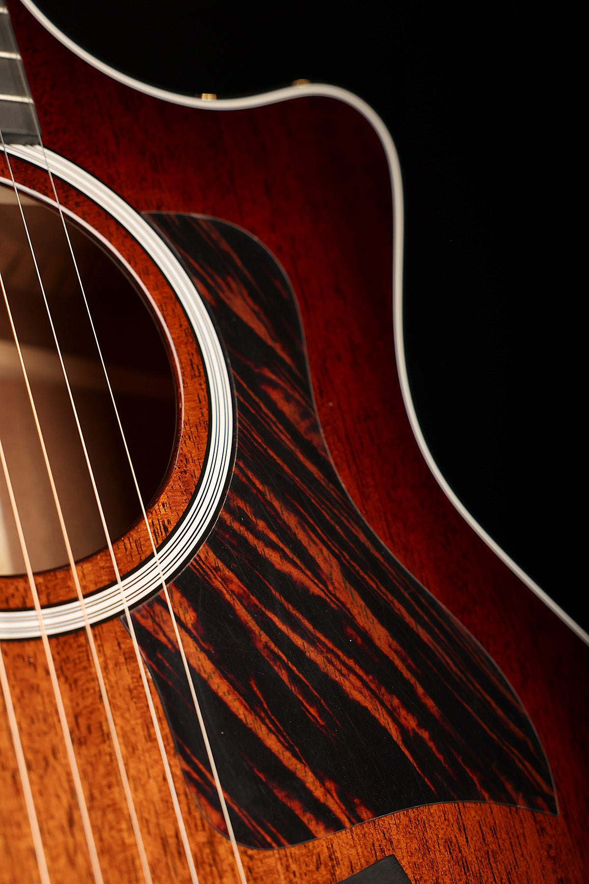 Taylor Next Generation 324ce Acoustic Electric Guitar