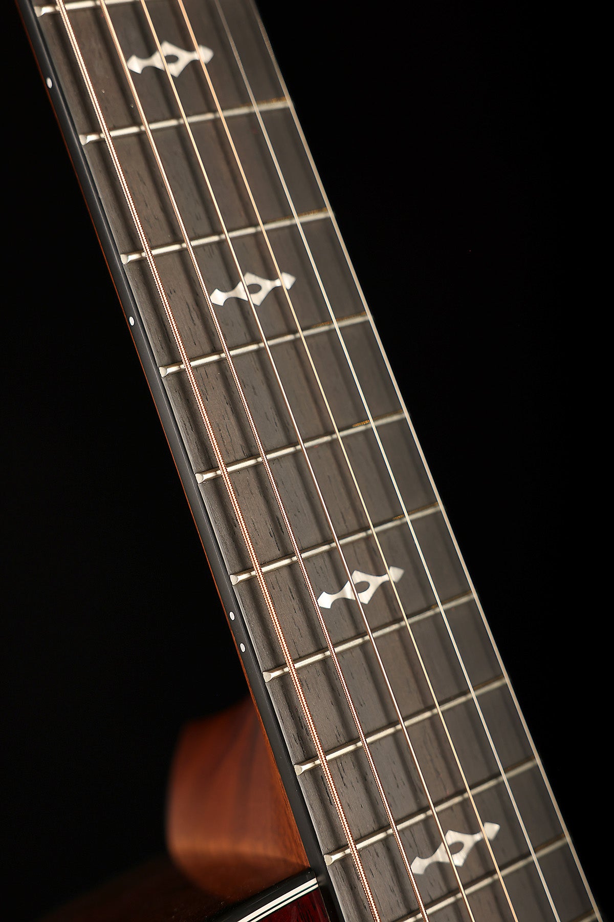 Taylor Next Generation 324ce Acoustic Electric Guitar
