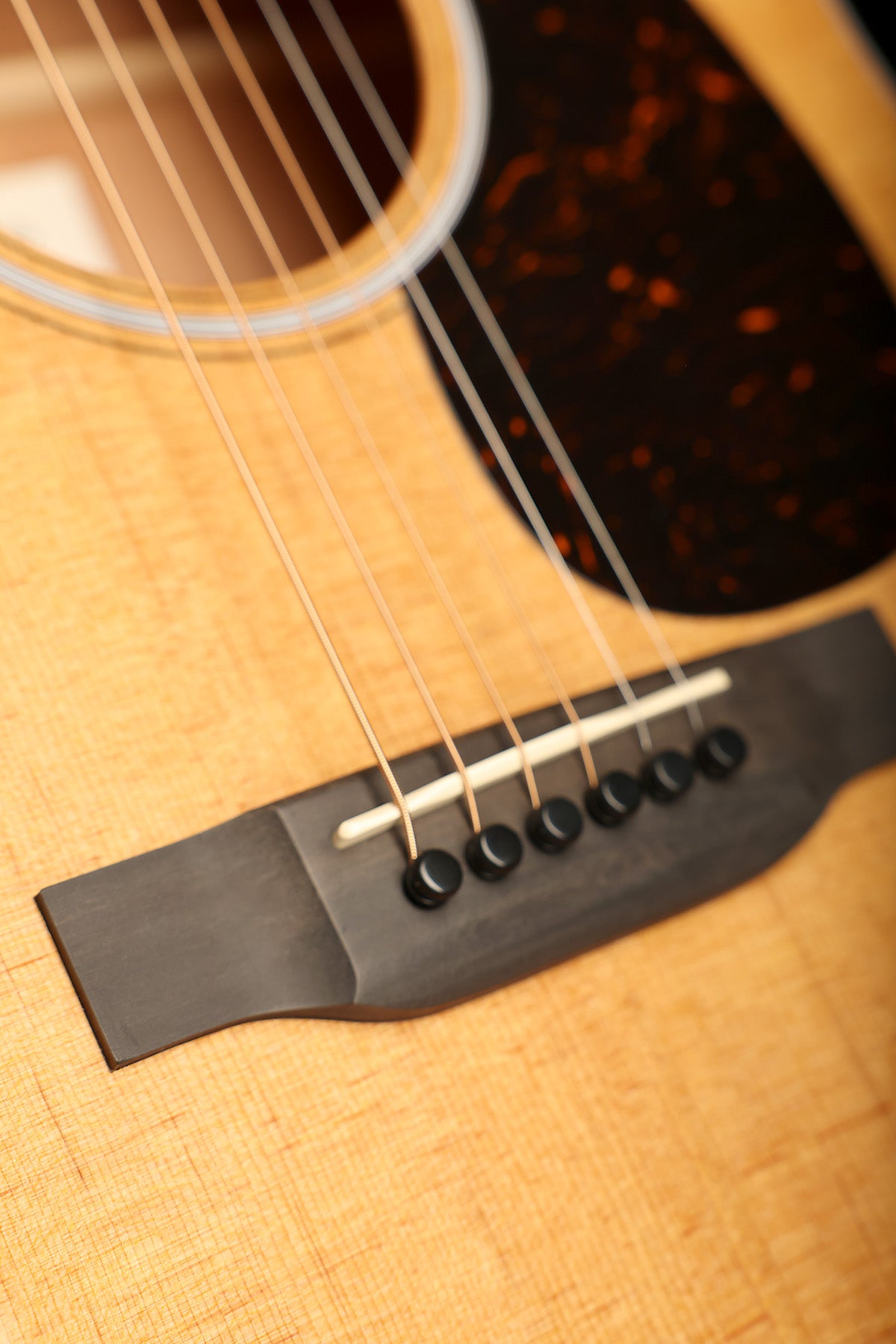 Martin DE Retro Plus Mahogany Acoustic Electric Guitar