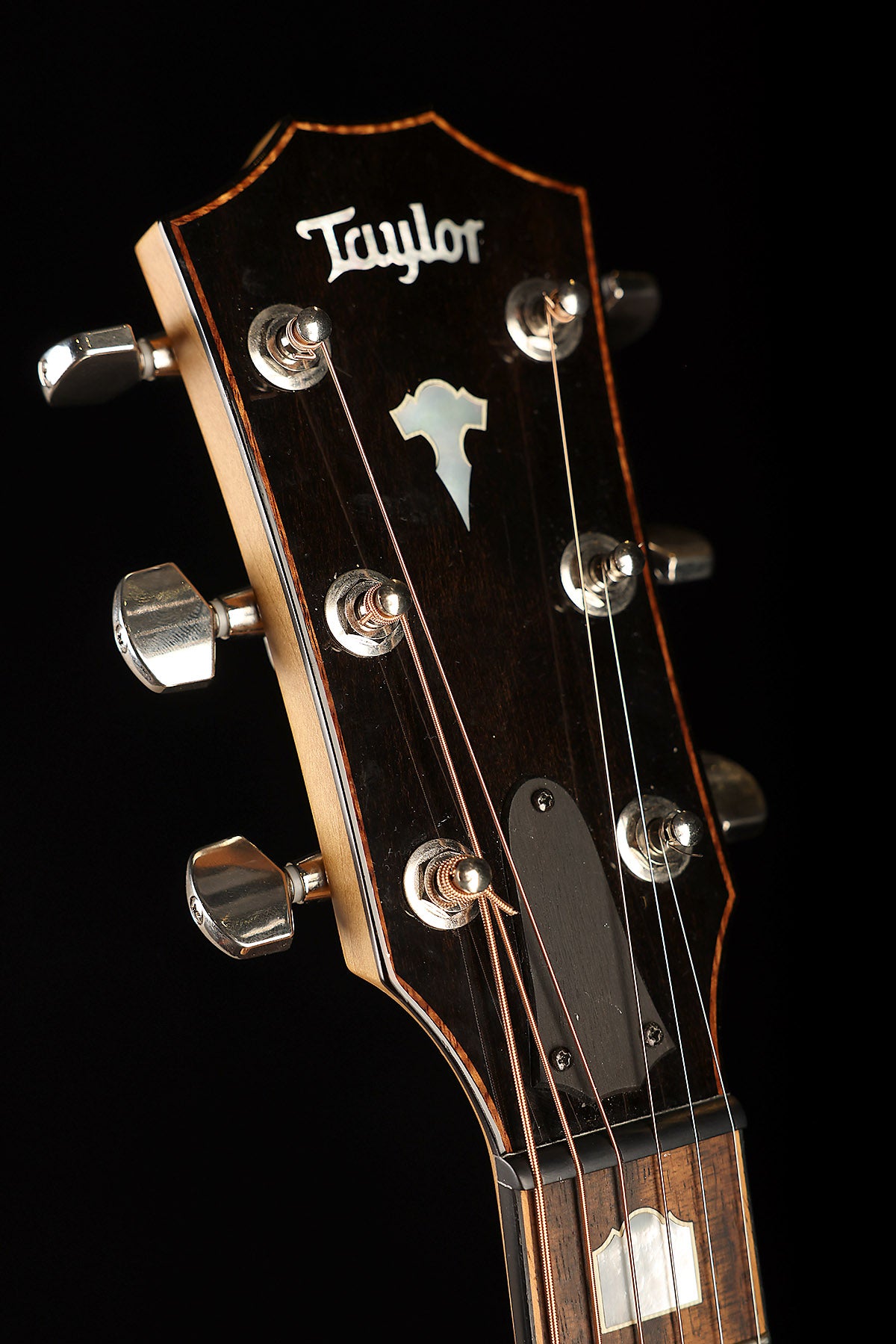 Taylor 618e Grand Orchestra Preowned 2020