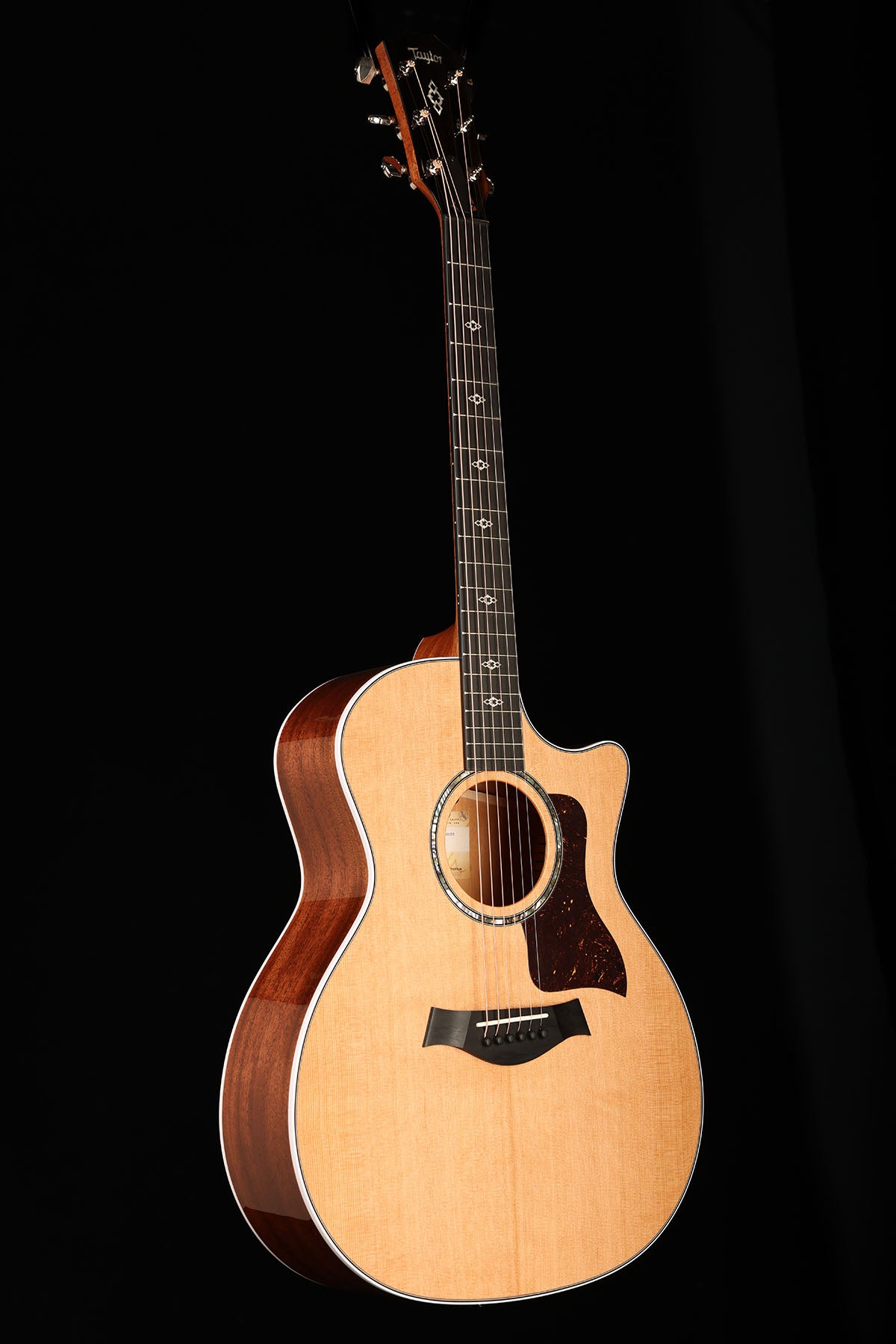 洋楽 Sydney Taylor Next Gen 514ce Grand Auditorium | Melbourne Guitar Shop