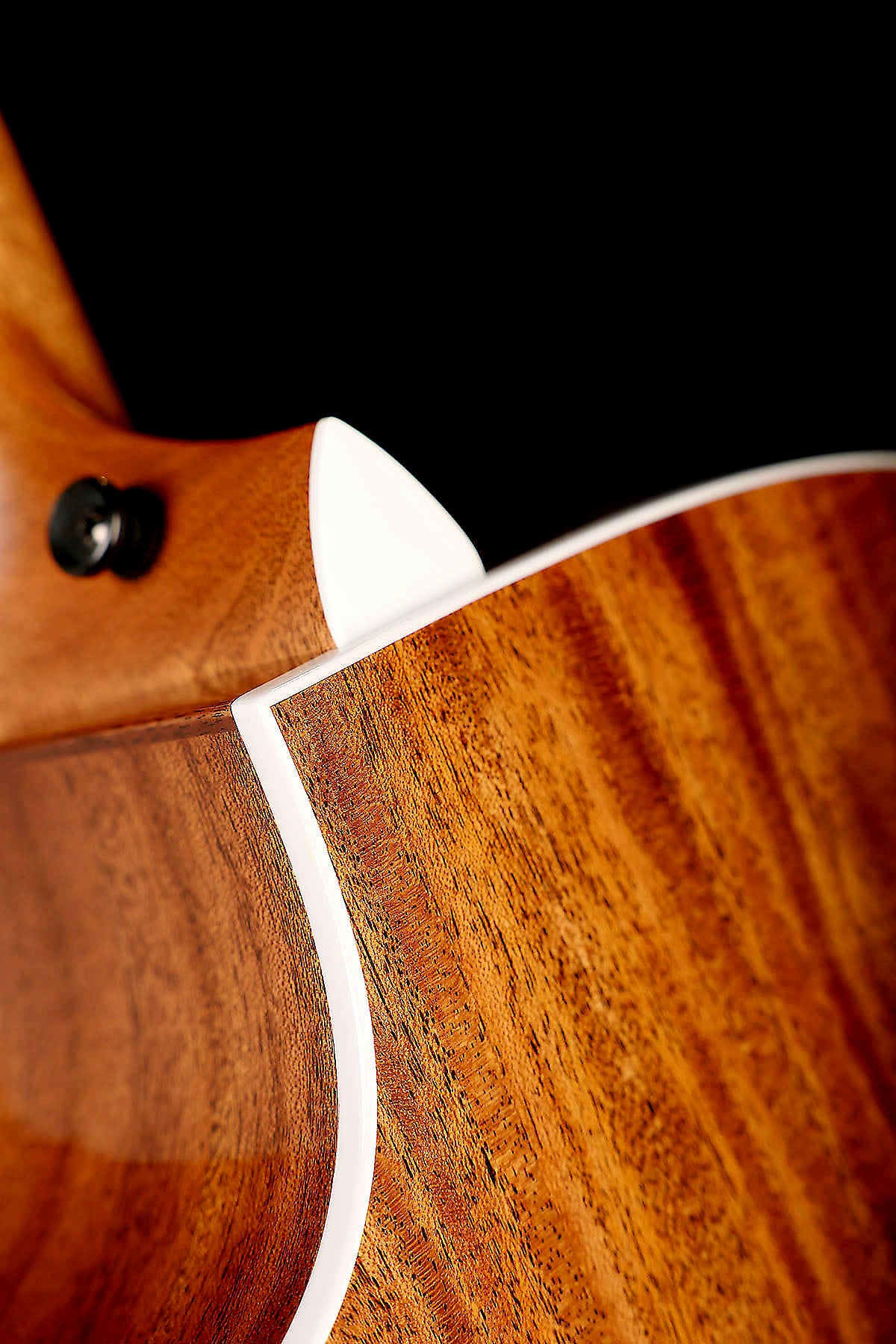 Taylor Next Generation 514ce Grand Auditorium 'Natural' Acoustic Electric Guitar