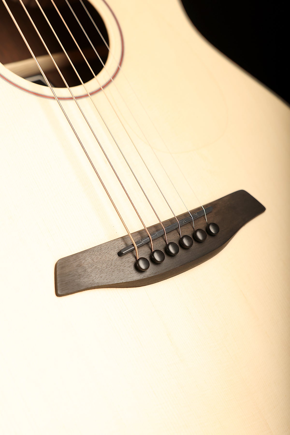 Furch Pioneer Exclusive-LC a 'Alpine Spruce / Cocobolo' Travel Acoustic Guitar