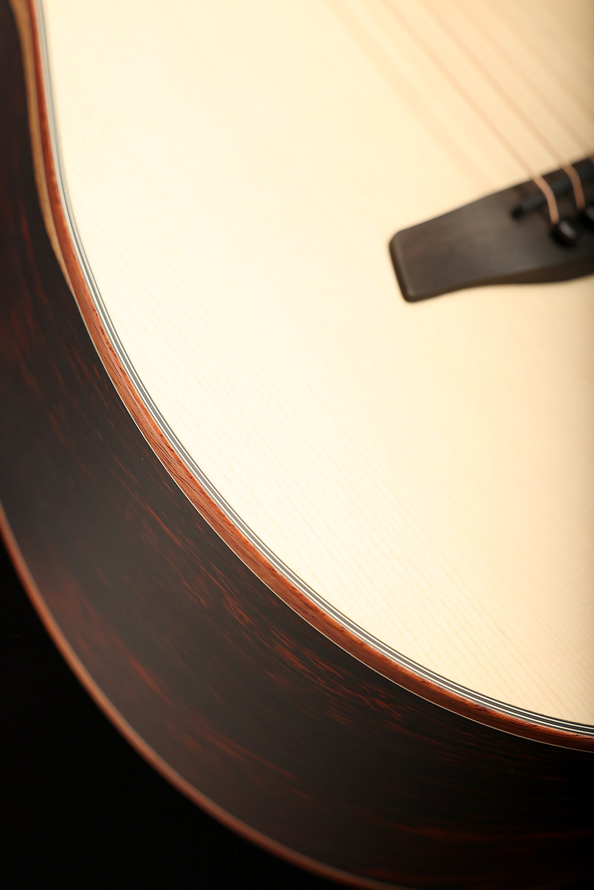 Furch Pioneer Exclusive-LC a 'Alpine Spruce / Cocobolo' Travel Acoustic Guitar