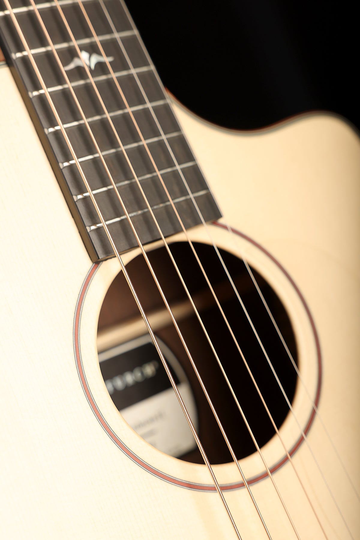 Furch Pioneer Exclusive-LC a 'Alpine Spruce / Cocobolo' Travel Acoustic Guitar