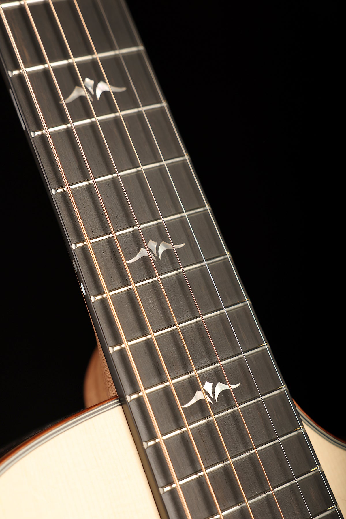 Furch Pioneer Exclusive-LC a 'Alpine Spruce / Cocobolo' Travel Acoustic Guitar