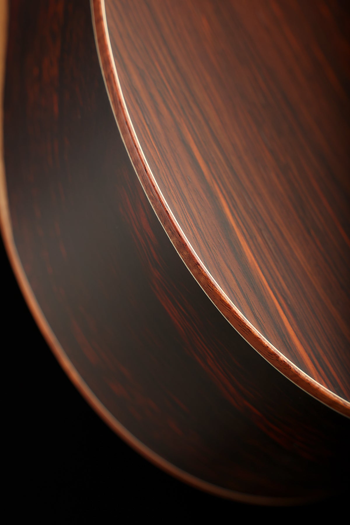 Furch Pioneer Exclusive-LC a 'Alpine Spruce / Cocobolo' Travel Acoustic Guitar