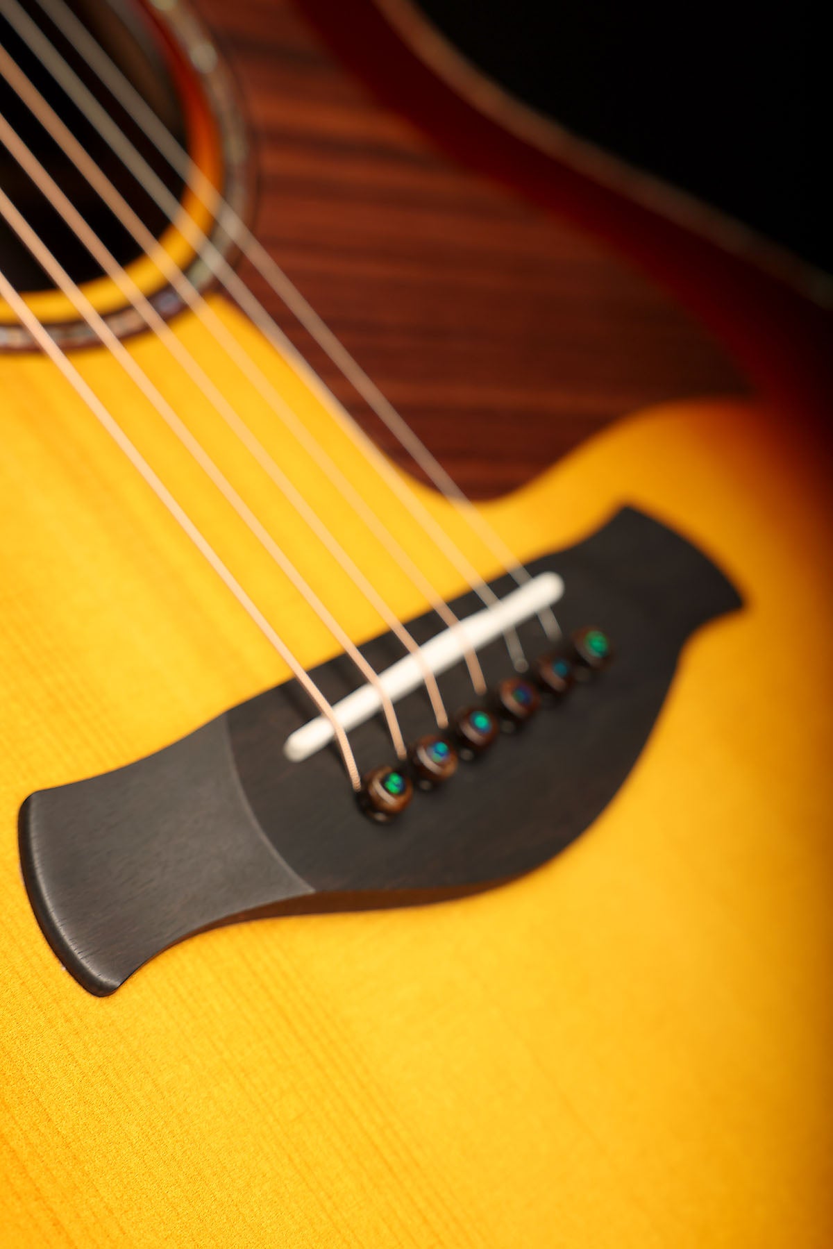 Taylor Custom Catch Gold Label Super Auditorium 'Englemann Spruce / Indian Rosewood' Acoustic Electric Guitar