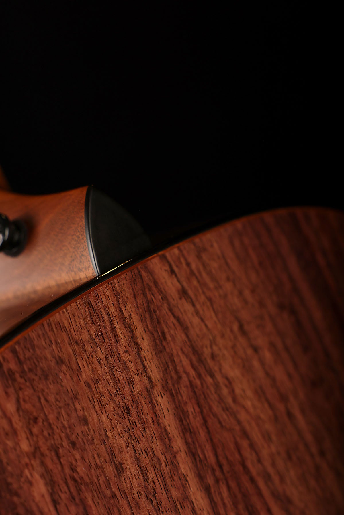 Taylor Custom Catch Gold Label Super Auditorium 'Englemann Spruce / Indian Rosewood' Acoustic Electric Guitar