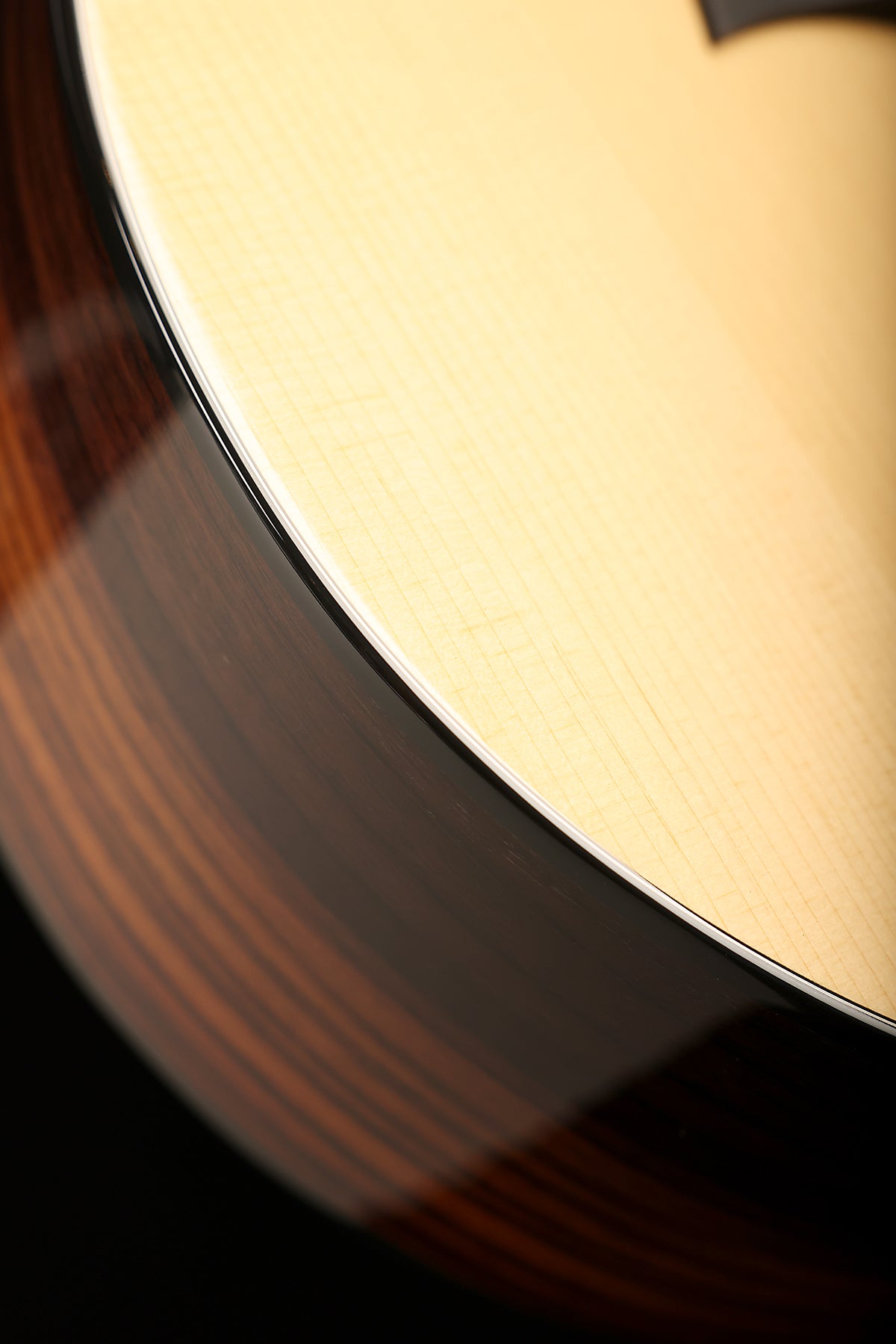 Taylor 254ce Plus 12-String Acoustic Electric Guitar