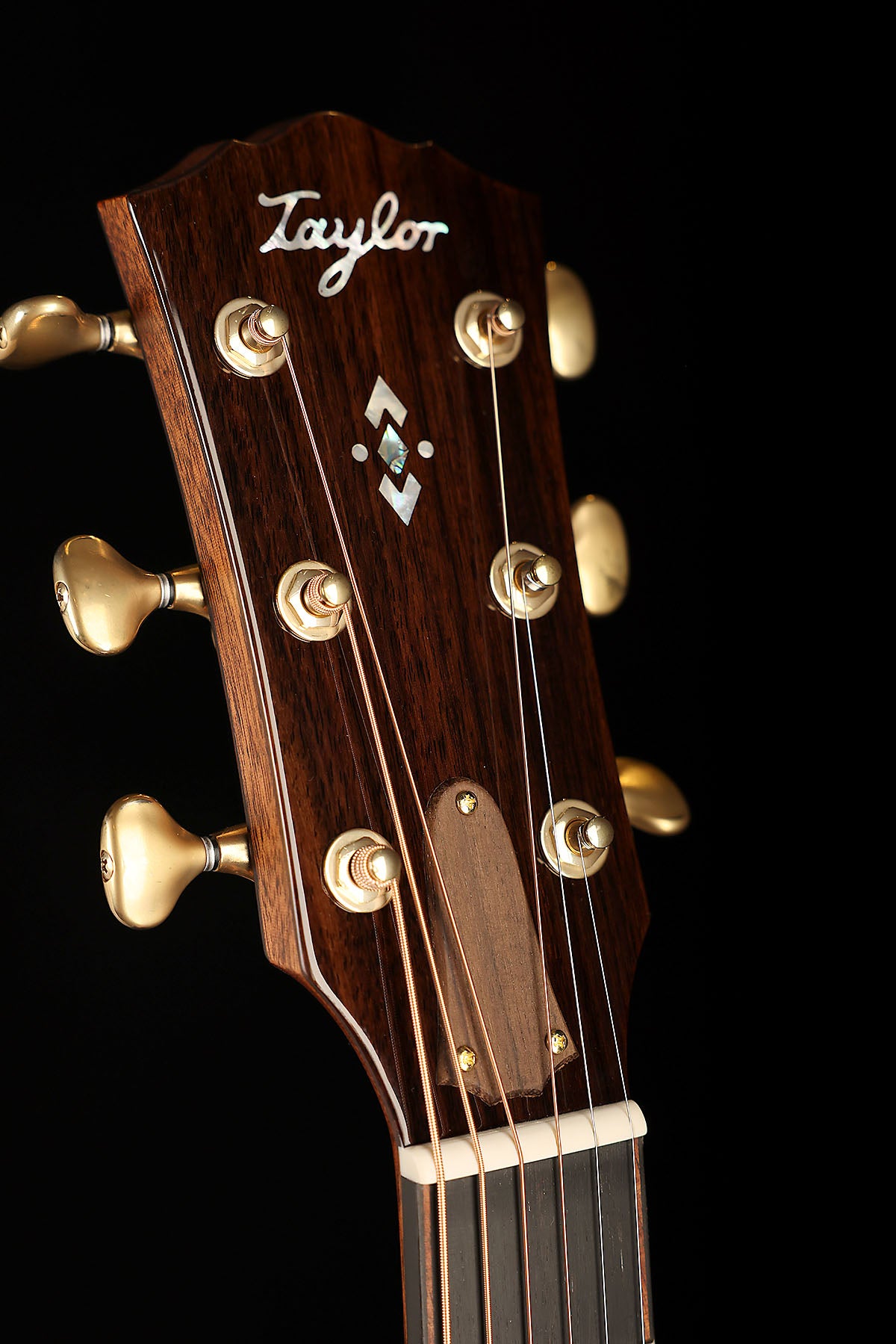 Taylor Custom Catch Gold Label Super Auditorium 'Englemann Spruce / Indian Rosewood' Acoustic Electric Guitar