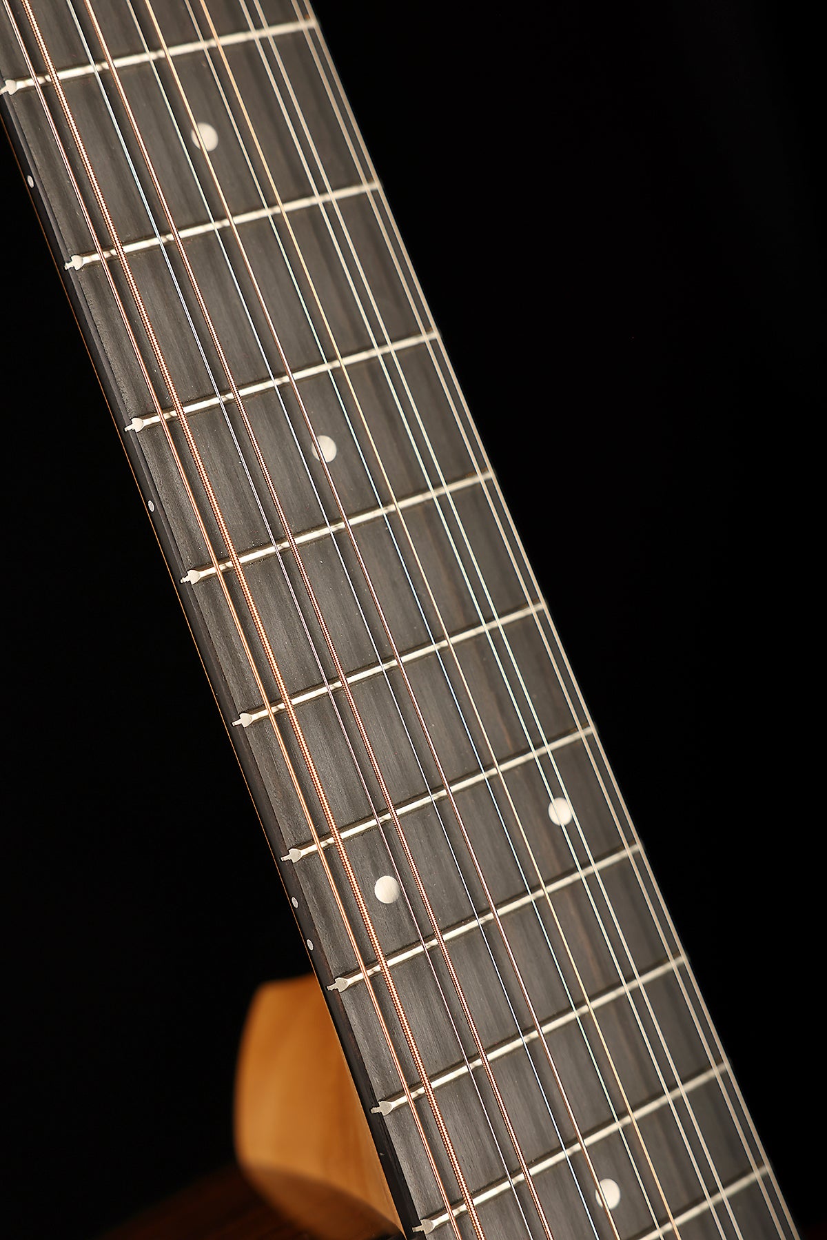 Taylor 254ce Plus 12-String Acoustic Electric Guitar