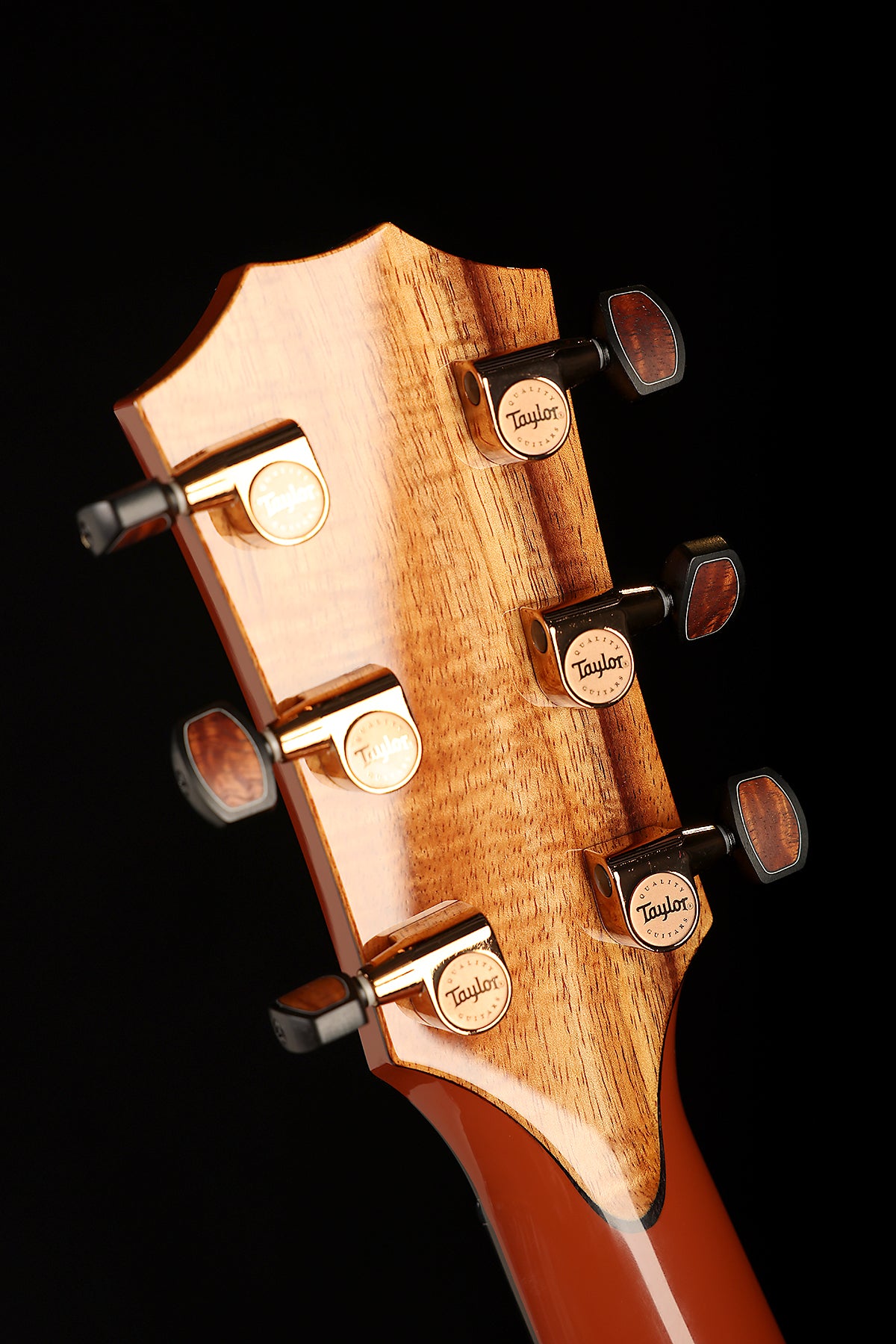 Taylor NAMM Custom C24ce B6004 Grand Auditorium ‘Terra Cotta’ Acoustic Electric Guitar