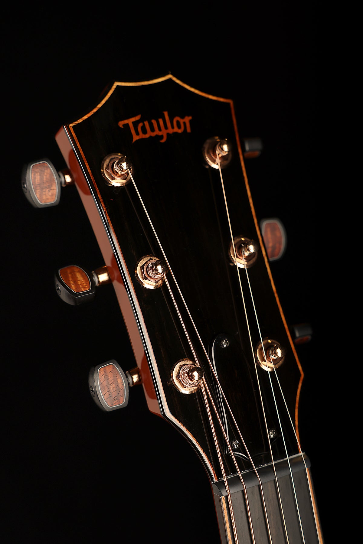 Taylor NAMM Custom C24ce B6004 Grand Auditorium ‘Terra Cotta’ Acoustic Electric Guitar