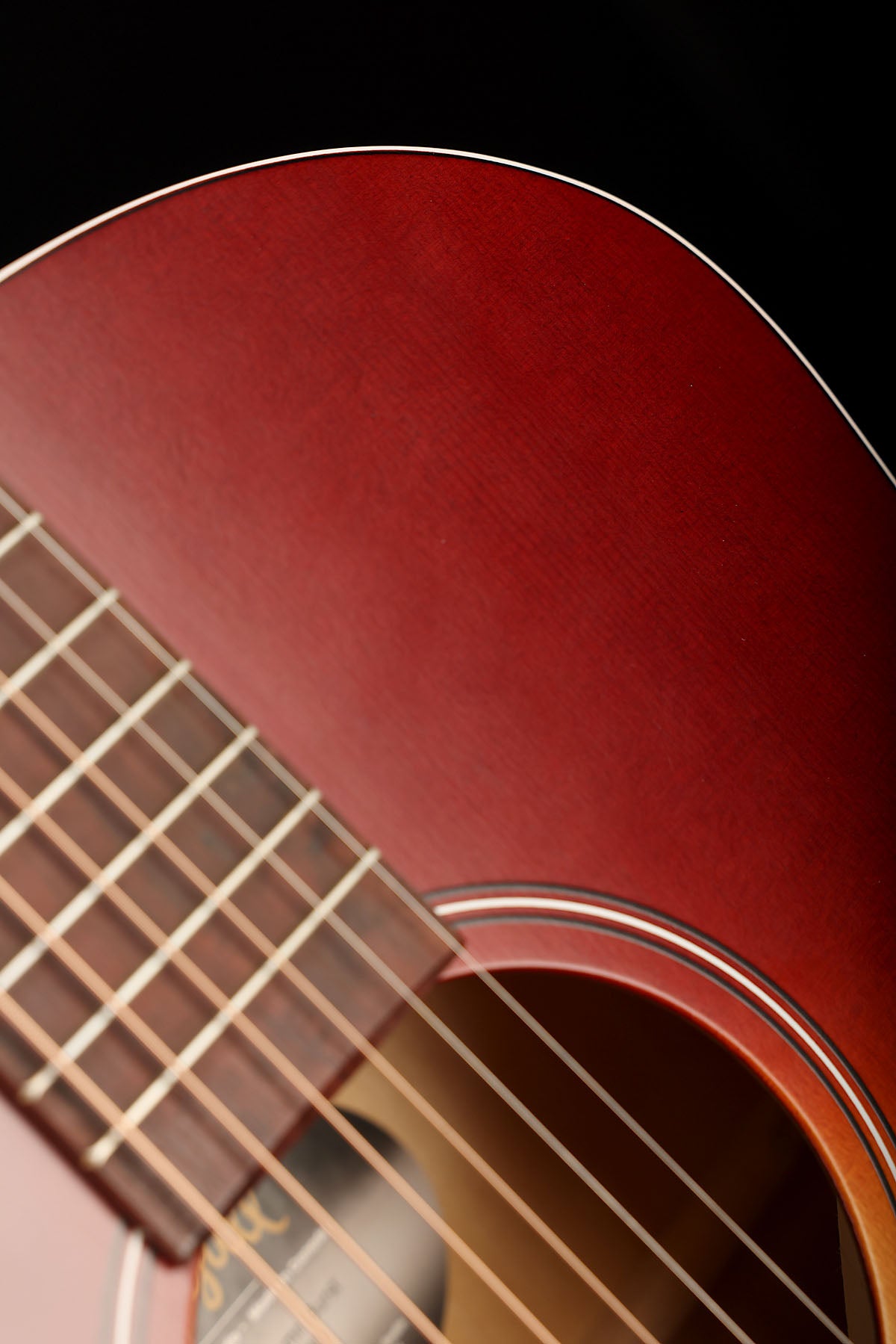 Seagull Entourage Autumn Burst Acoustic Guitar