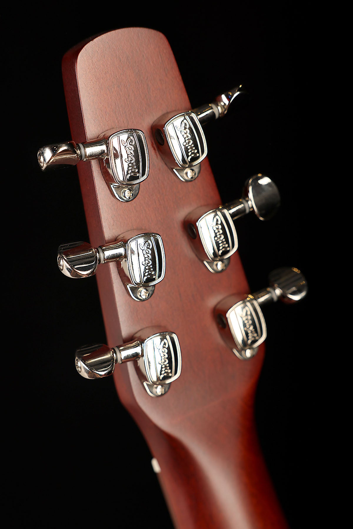 Seagull Entourage Autumn Burst Acoustic Guitar
