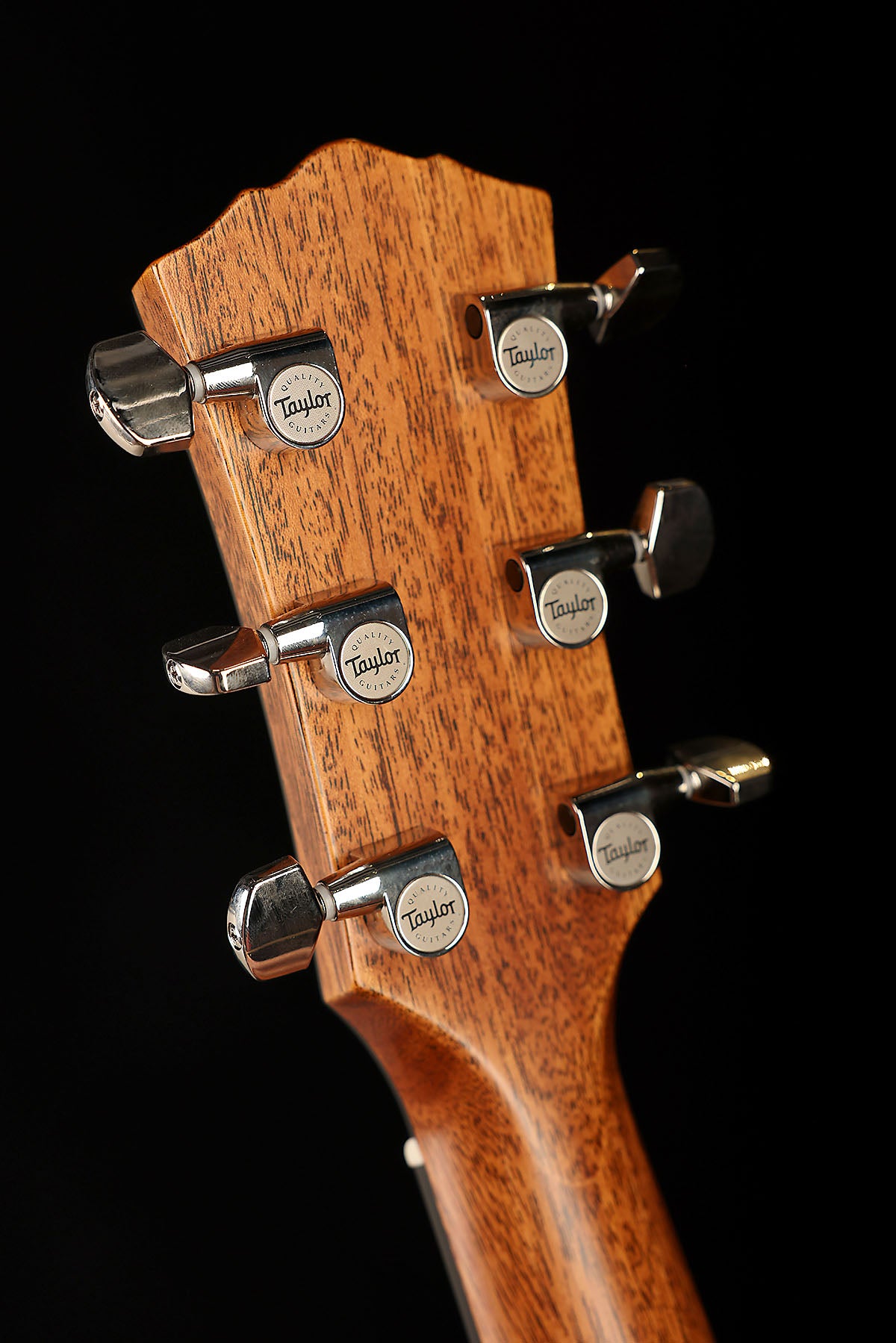 Taylor 714e Gold Label Acoustic Electric Guitar