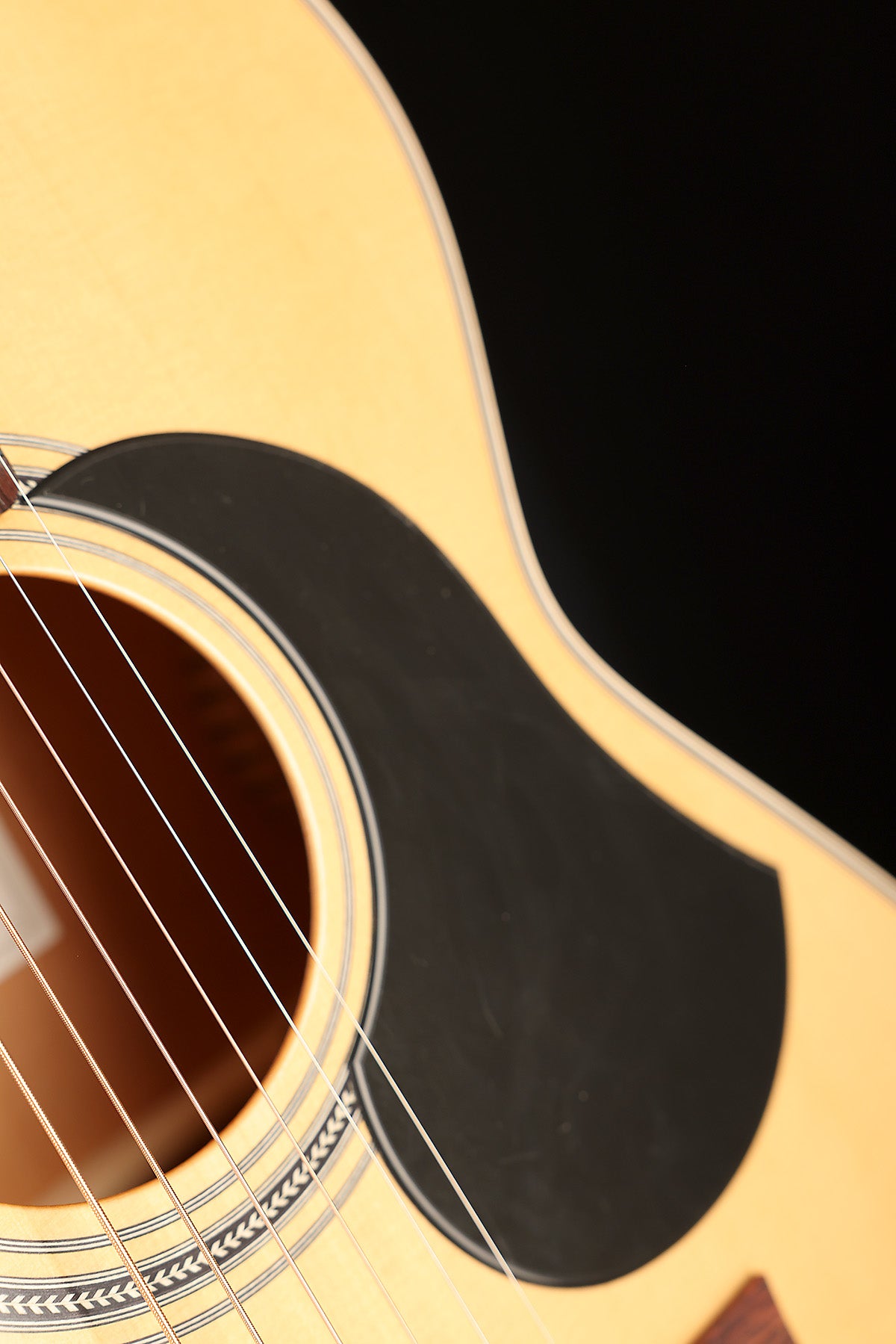 Maton 80th Anniversary CW808 Acoustic Electric Guitar