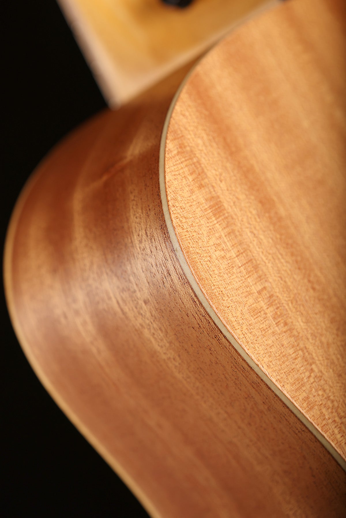 Taylor GS Mini‐e Special Edition ‐ Year Of The Snake Acoustic Electric Guitar - Acoustic Centre Music Store, Melbourne Australia