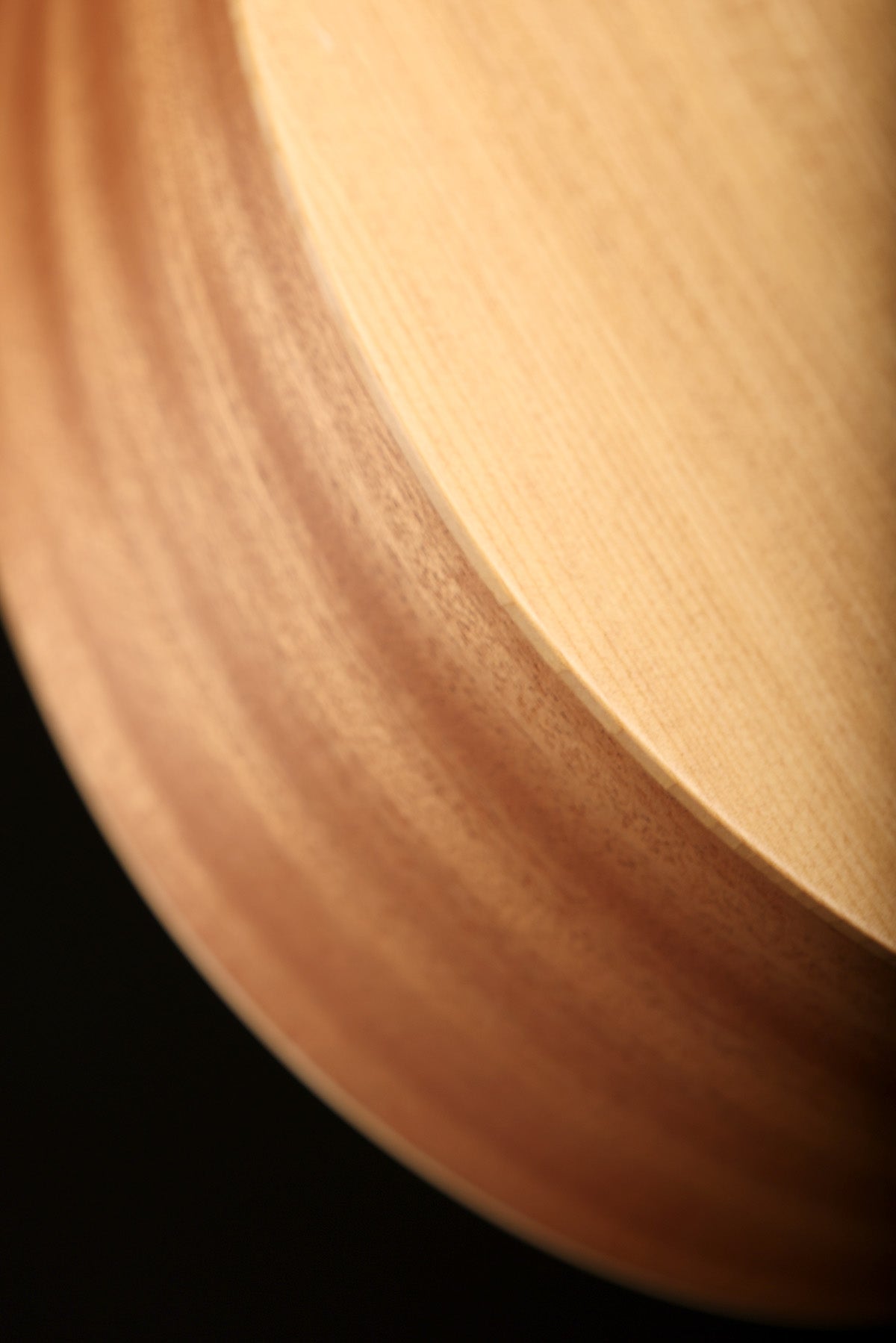 Taylor 14ce &#39;Torrefied Spruce / Sapele&#39; Acoustic Electric Guitar - Acoustic Centre Music Store, Melbourne Australia