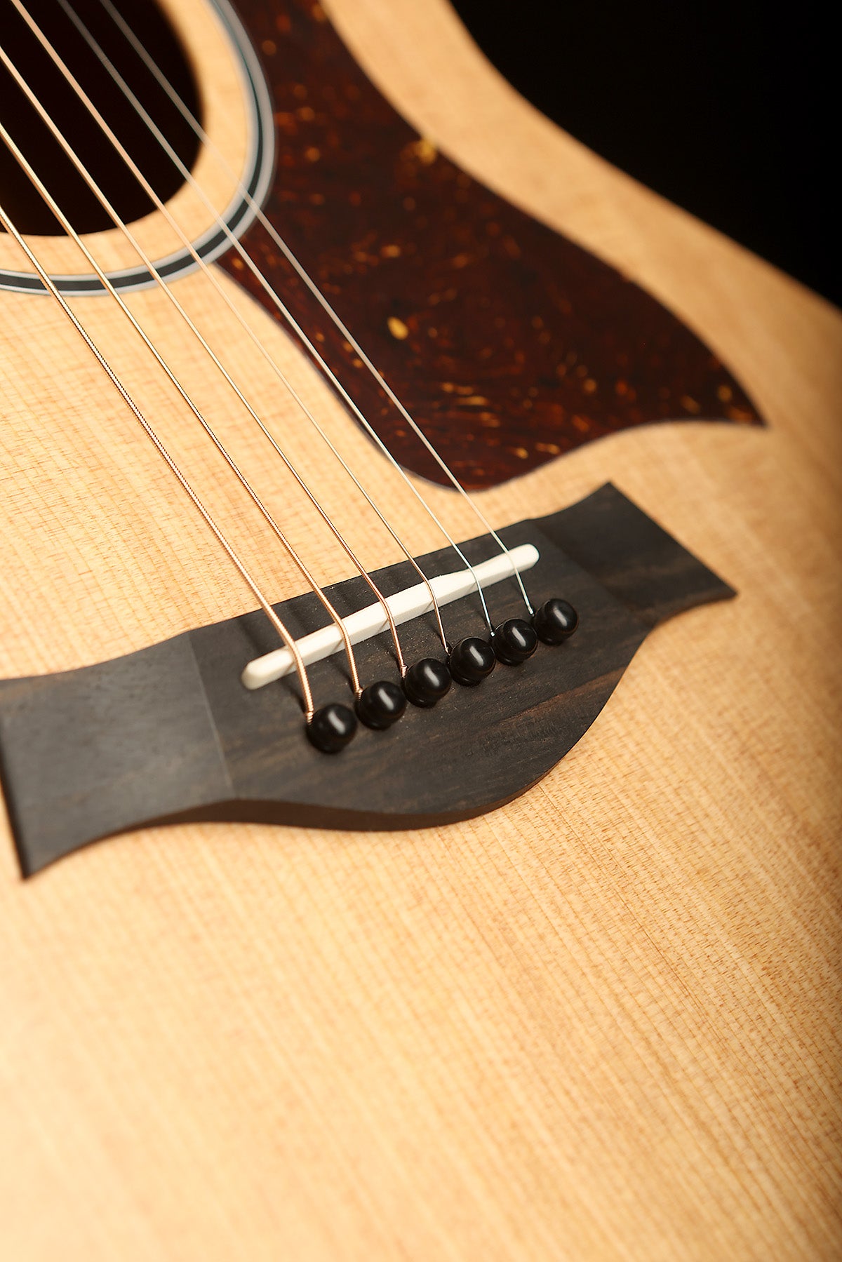 Taylor 14ce &#39;Torrefied Spruce / Sapele&#39; Acoustic Electric Guitar - Acoustic Centre Music Store, Melbourne Australia