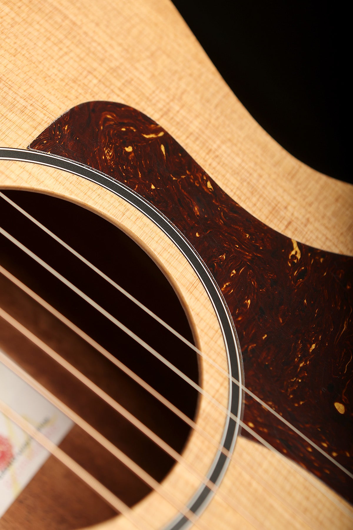 Taylor 14ce &#39;Torrefied Spruce / Sapele&#39; Acoustic Electric Guitar - Acoustic Centre Music Store, Melbourne Australia
