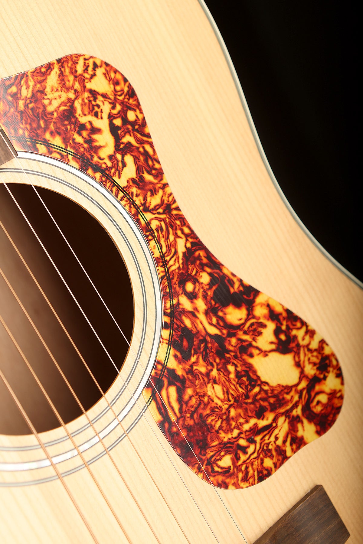 Guild D-240e Acoustic Electric Guitar - Acoustic Centre Music Store, Melbourne Australia