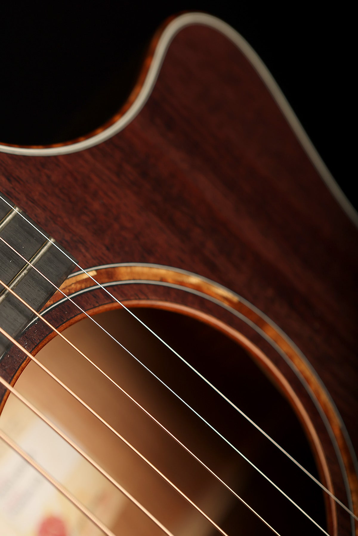 Taylor Custom GA &#39;Tasmanian Blackwood&#39; Preowned 2019 - Acoustic Centre Music Store, Melbourne Australia