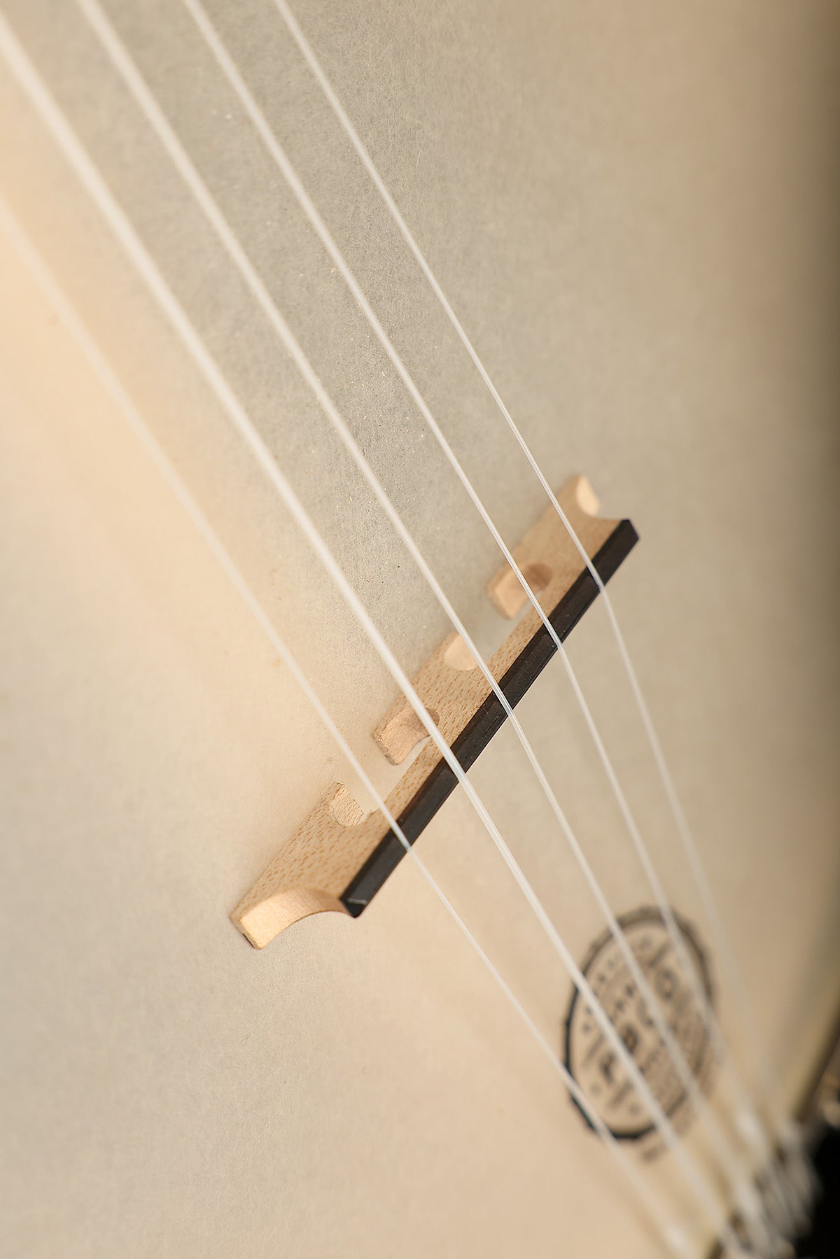 Pisgah Possum Banjo Preowned