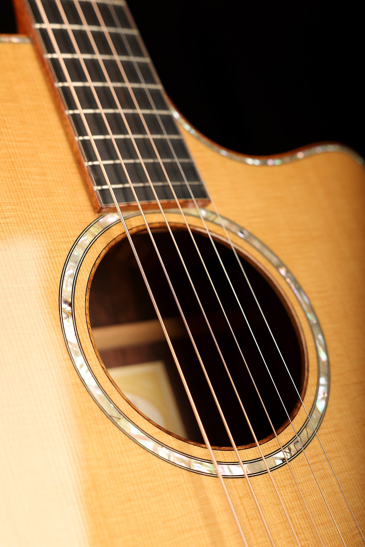 Taylor Fall LTD Cocobolo GS Preowned 2008