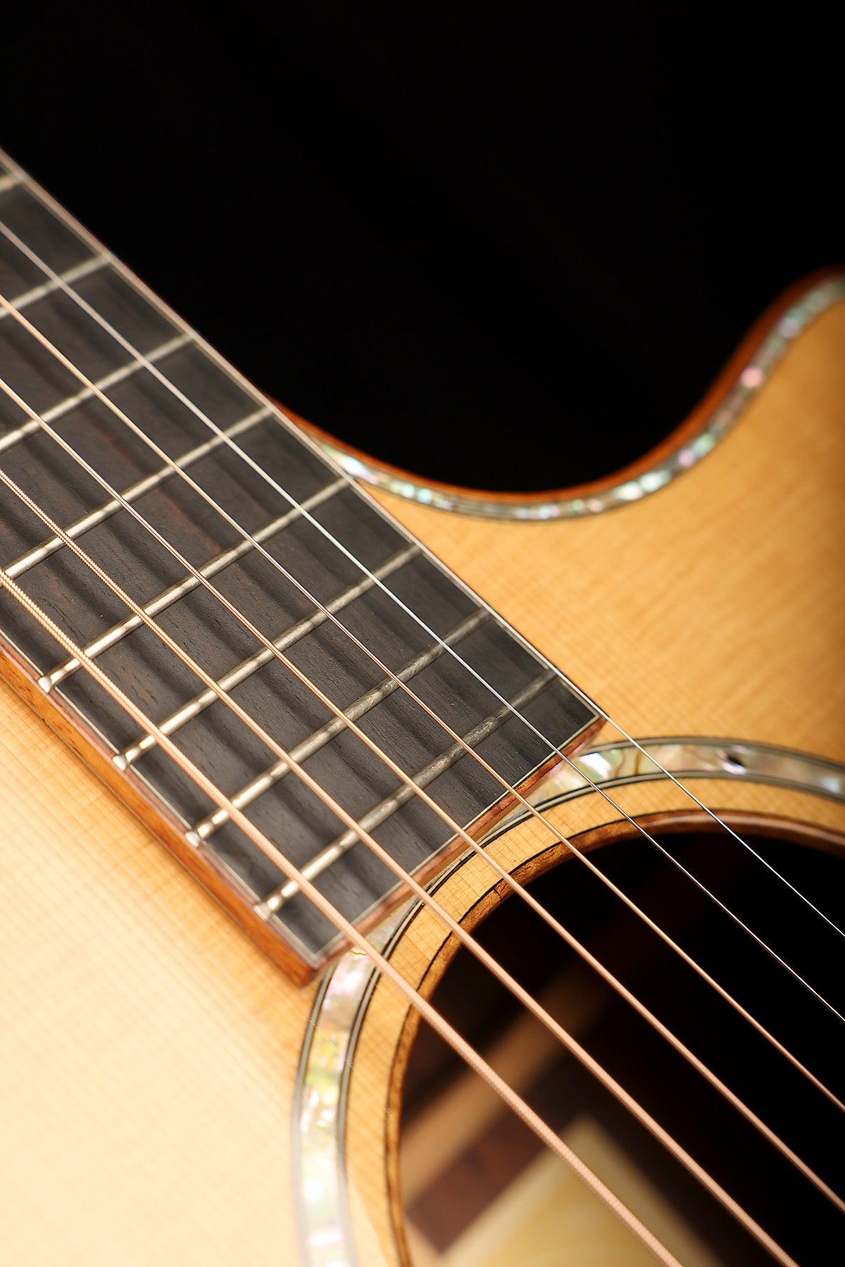 Taylor Fall LTD Cocobolo GS Preowned 2008