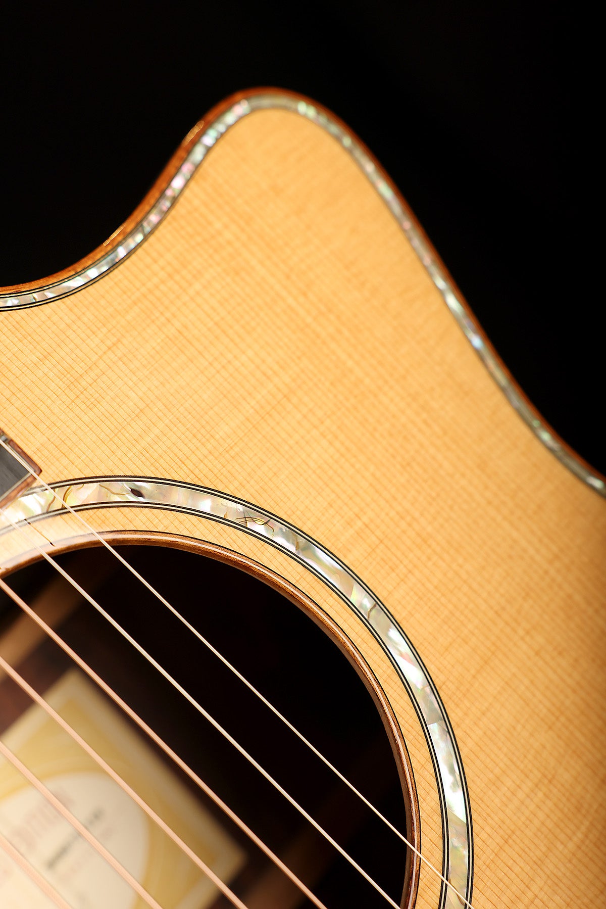 Taylor Fall LTD Cocobolo GS Preowned 2008