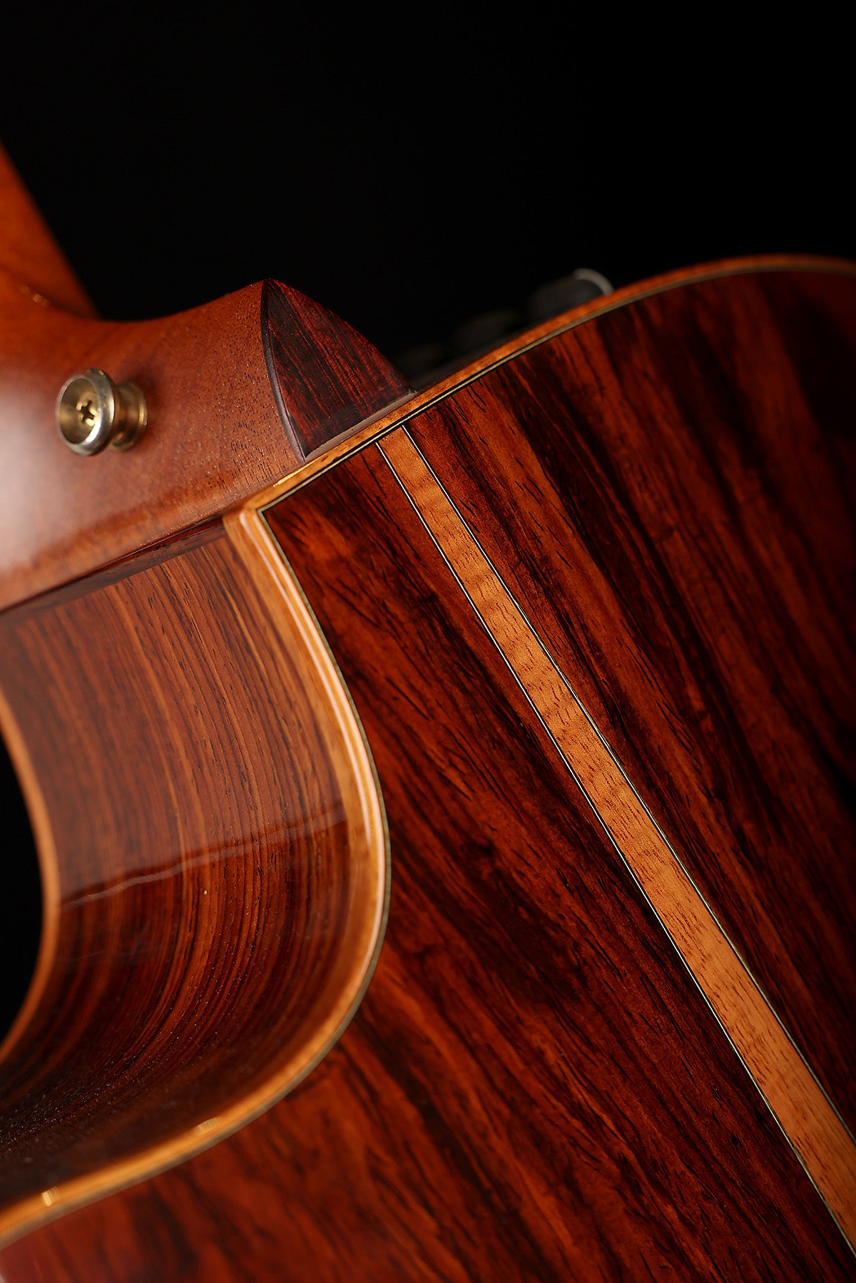 Taylor Fall LTD Cocobolo GS Preowned 2008