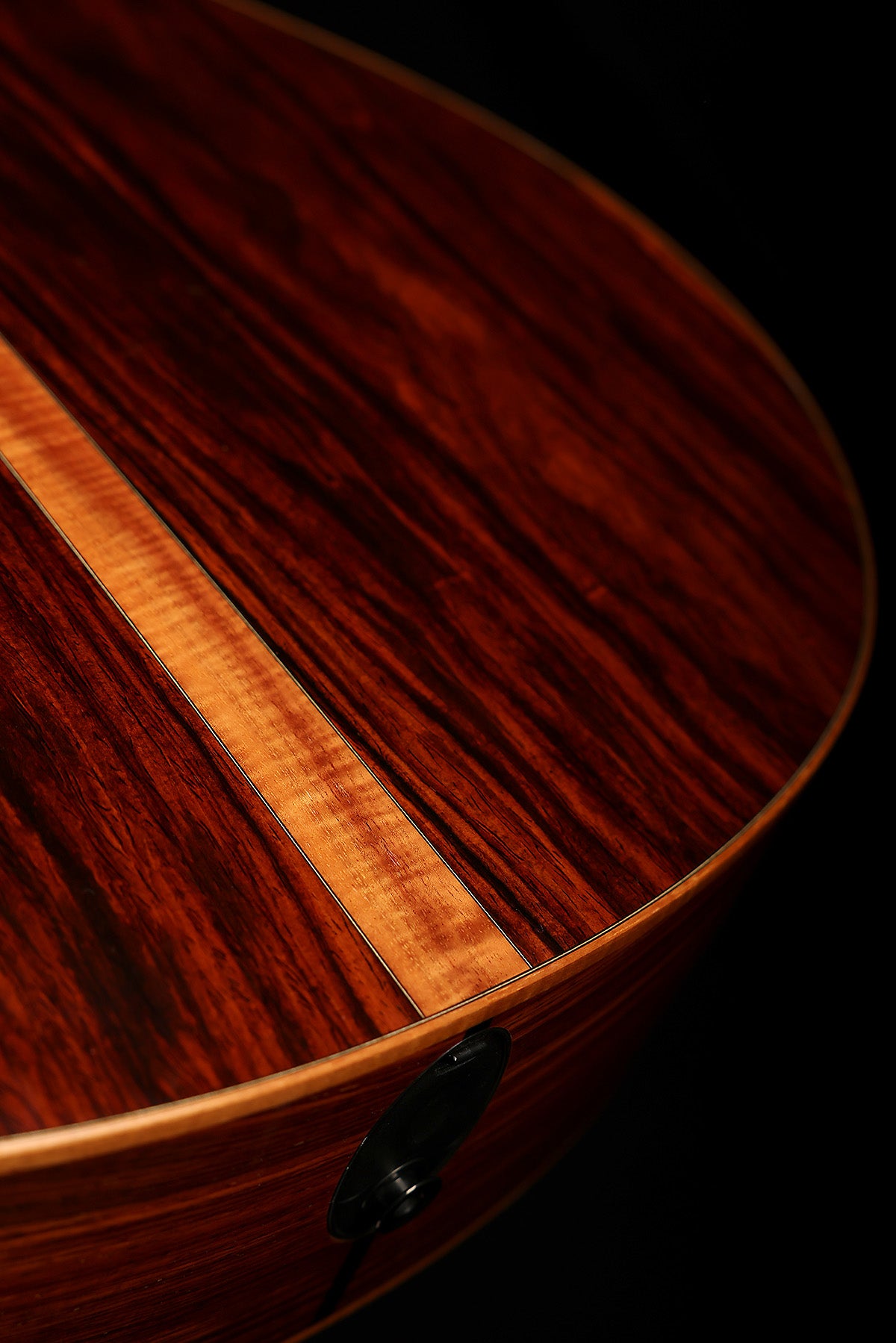 Taylor Fall LTD Cocobolo GS Preowned 2008