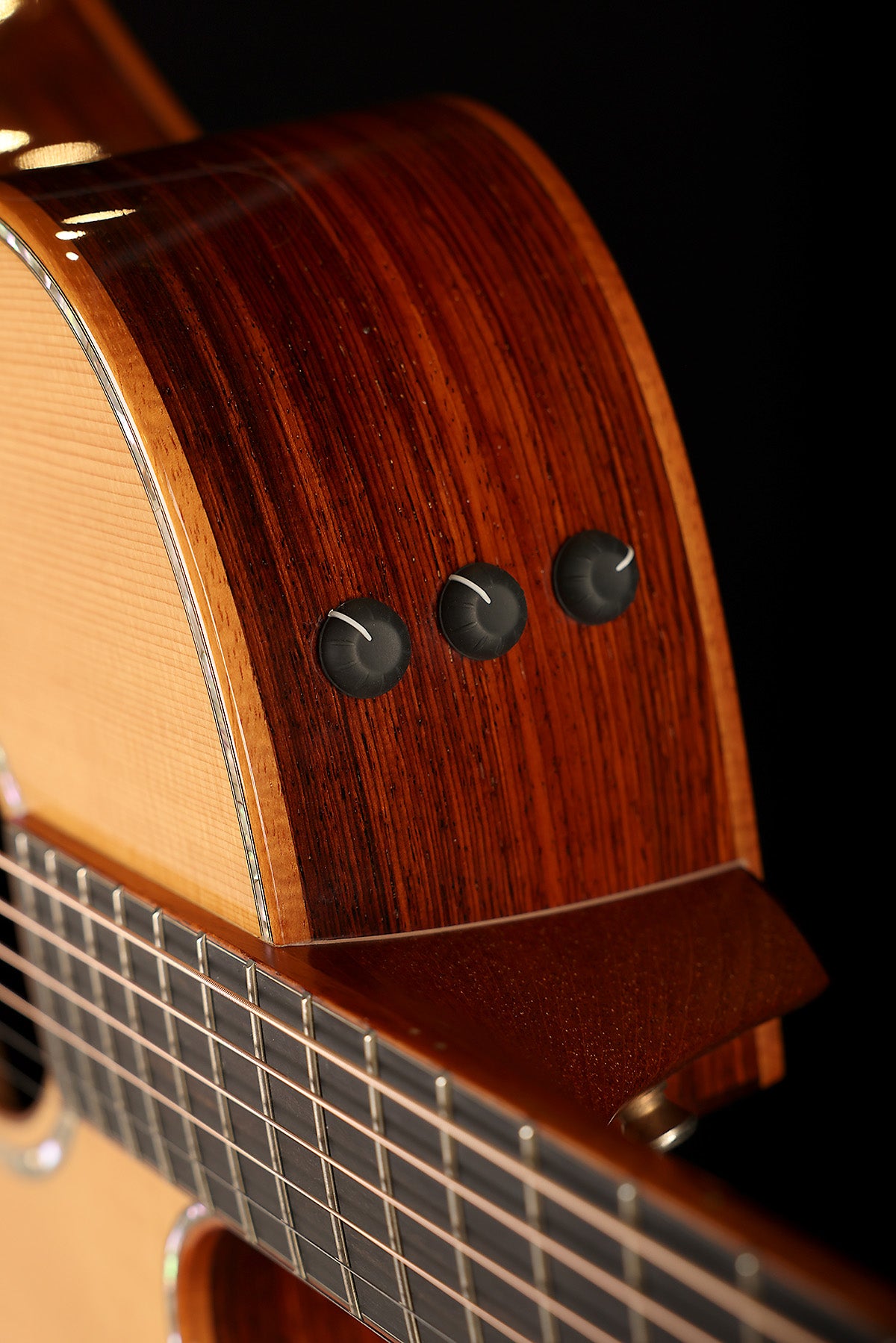 Taylor Fall LTD Cocobolo GS Preowned 2008