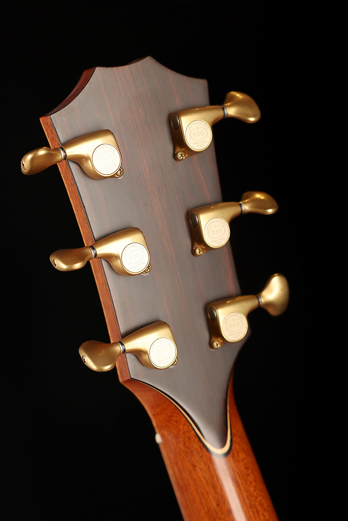 Taylor Fall LTD Cocobolo GS Preowned 2008