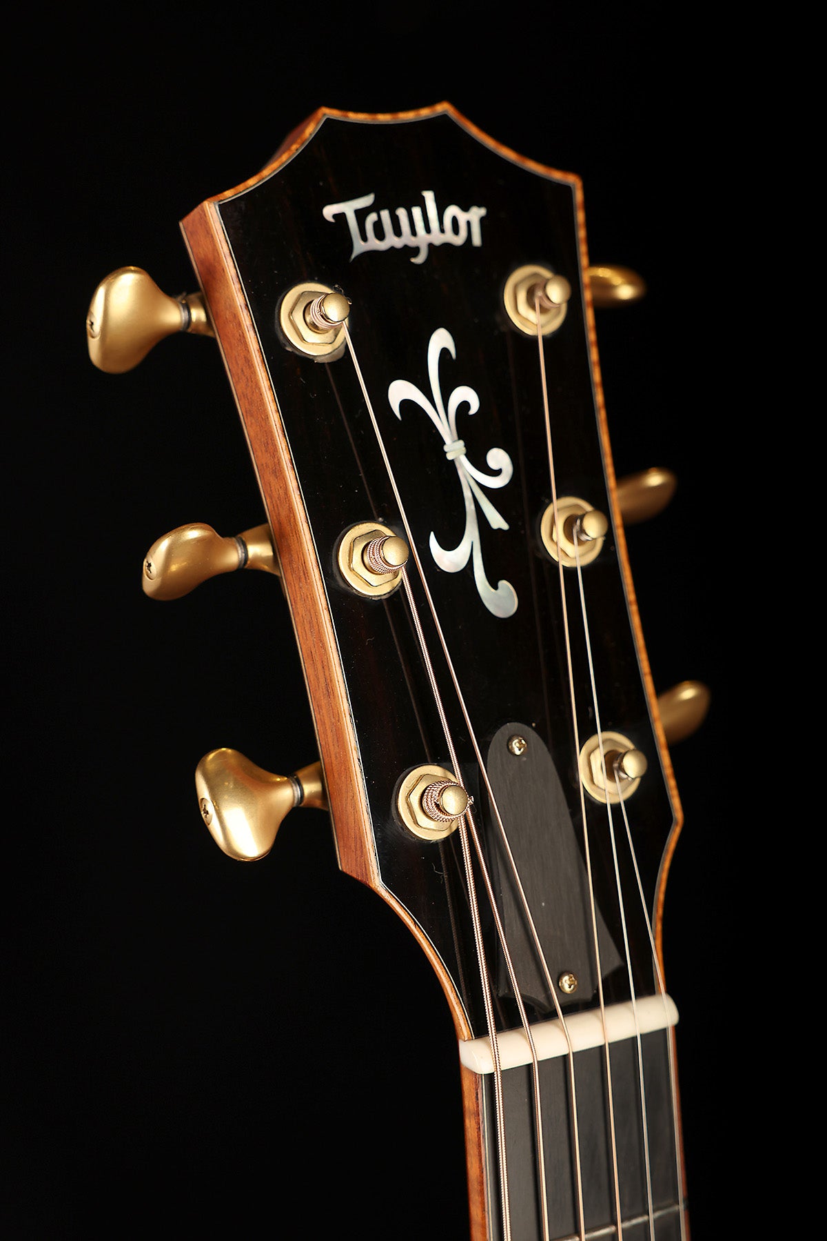 Taylor Fall LTD Cocobolo GS Preowned 2008