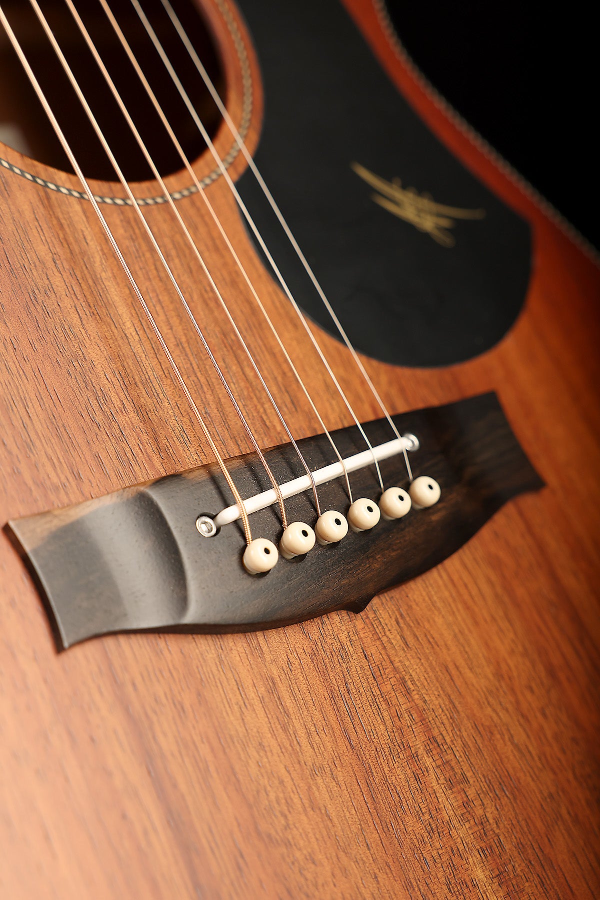 Maton EBW808 Blackwood Custom 'Wine Burst' Acoustic Electric Guitar