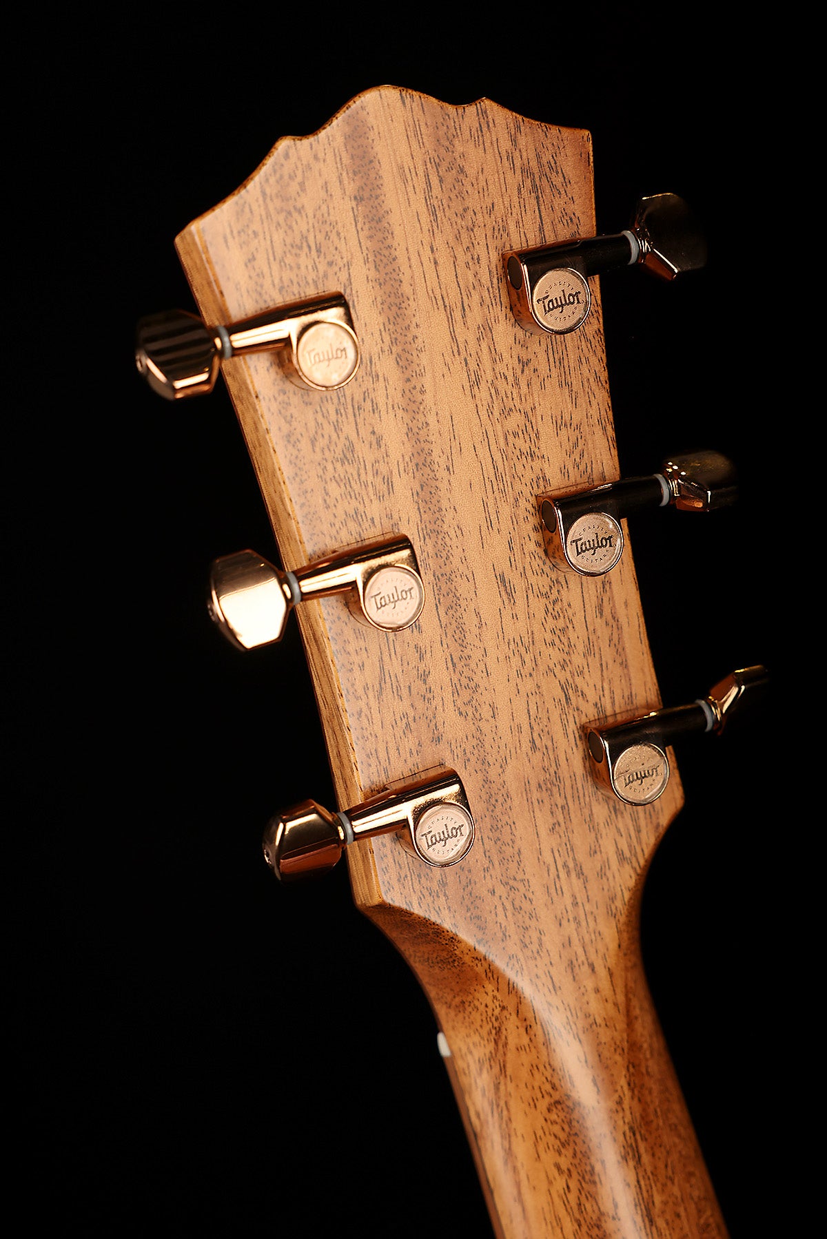 Taylor Ben Harper Gold Label 512e Acoustic Electric Guitar