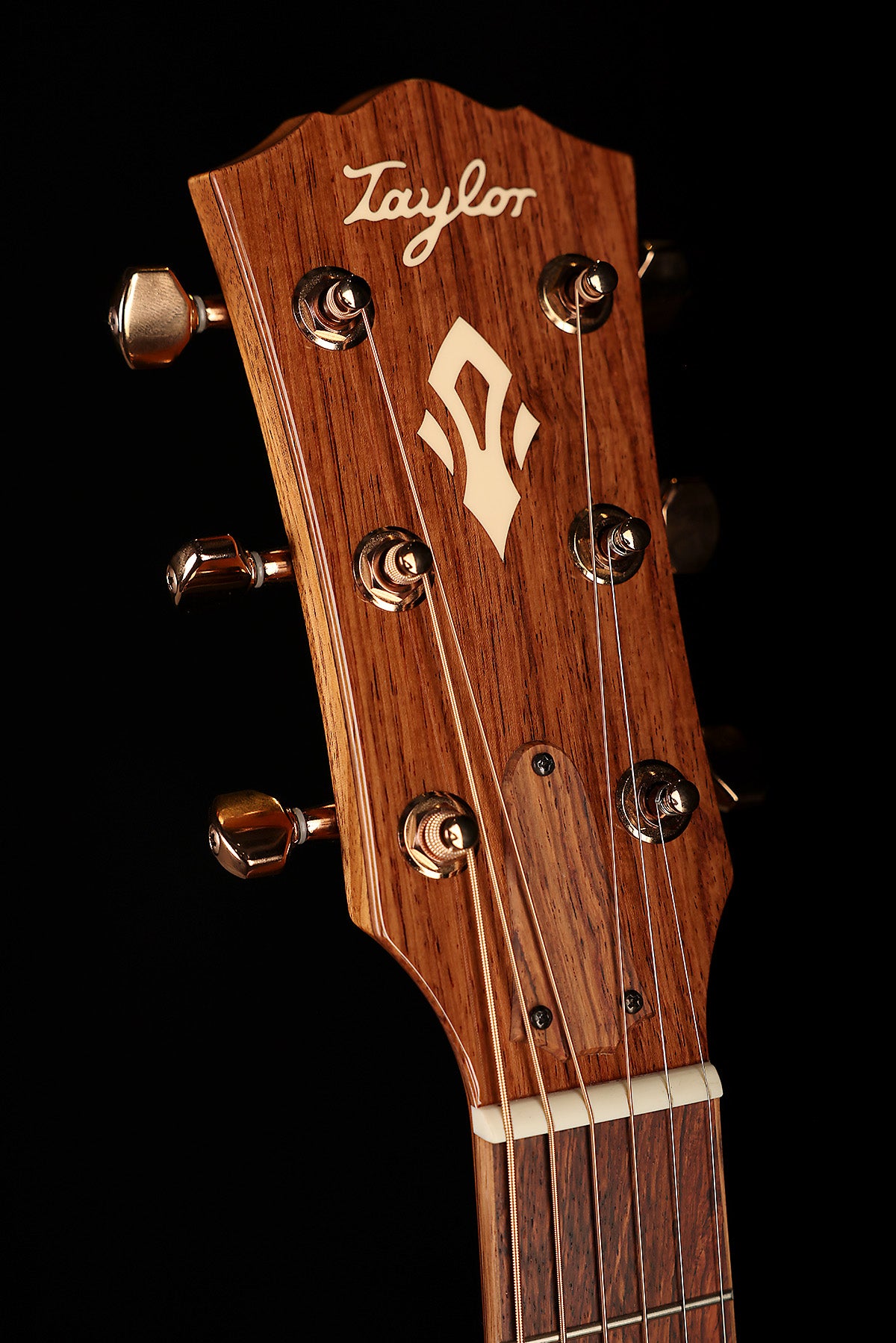 Taylor Ben Harper Gold Label 512e Acoustic Electric Guitar