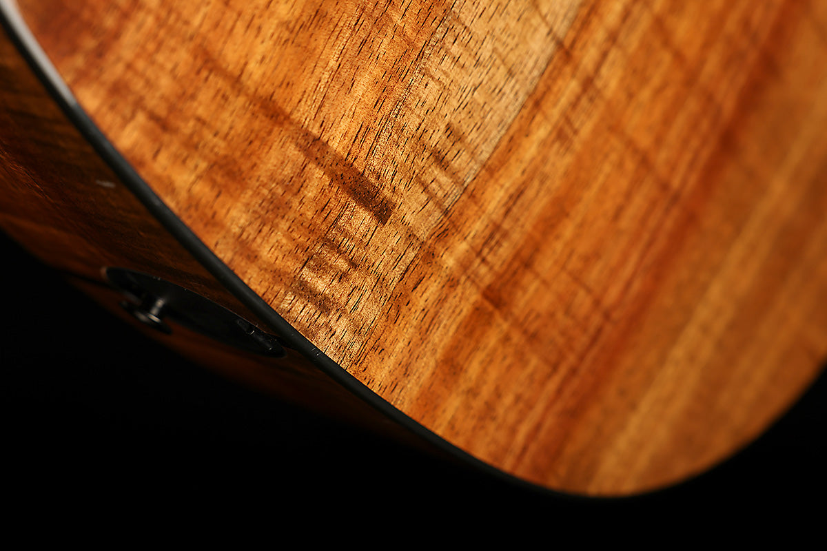 Taylor 424ce-K Limited Edition 'All-Koa' Preowned 2020