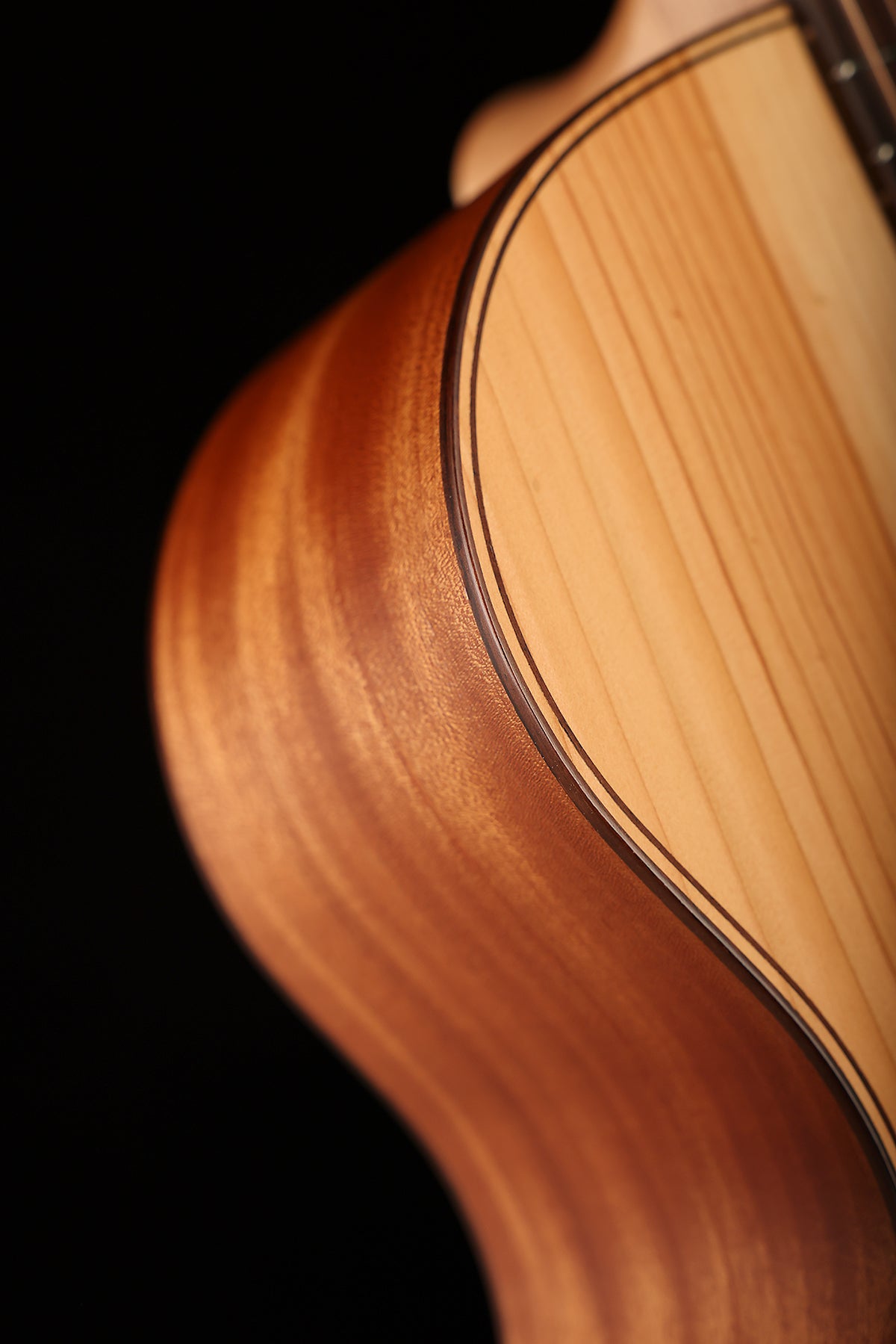 Cole Clark CCAN2EC-LTD Angel 'Himalayan Cedar / African Mahogany' Acoustic Electric Guitar