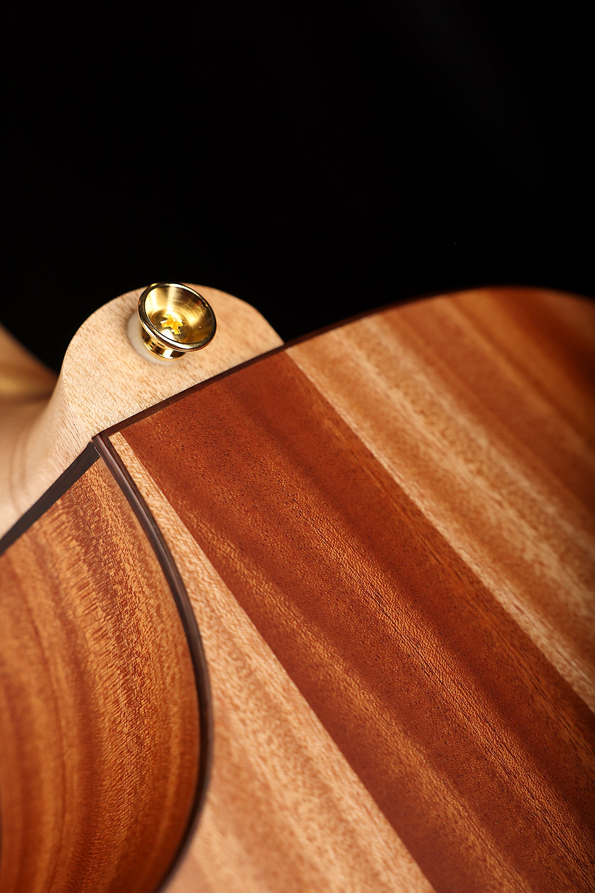 Cole Clark CCAN2EC-LTD Angel 'Himalayan Cedar / African Mahogany' Acoustic Electric Guitar