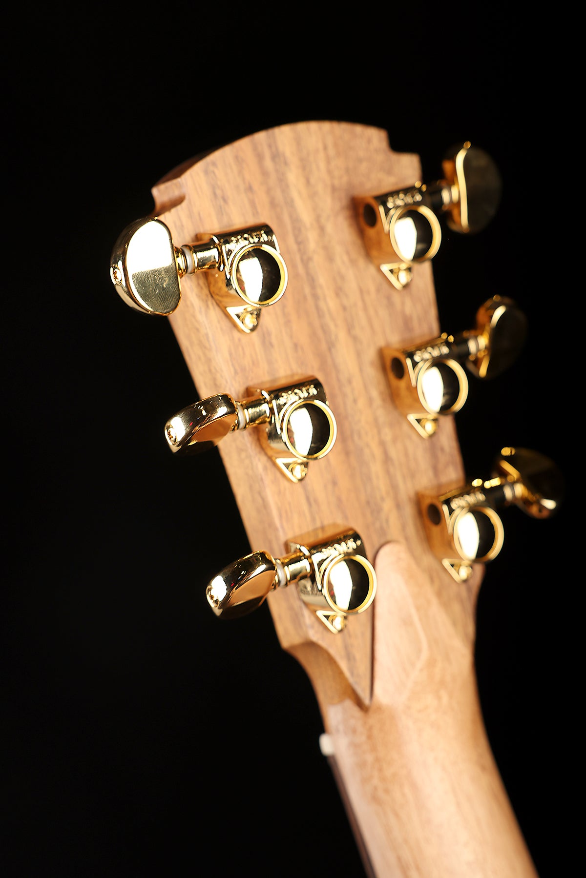 Cole Clark CCAN2EC-LTD Angel 'Himalayan Cedar / African Mahogany' Acoustic Electric Guitar